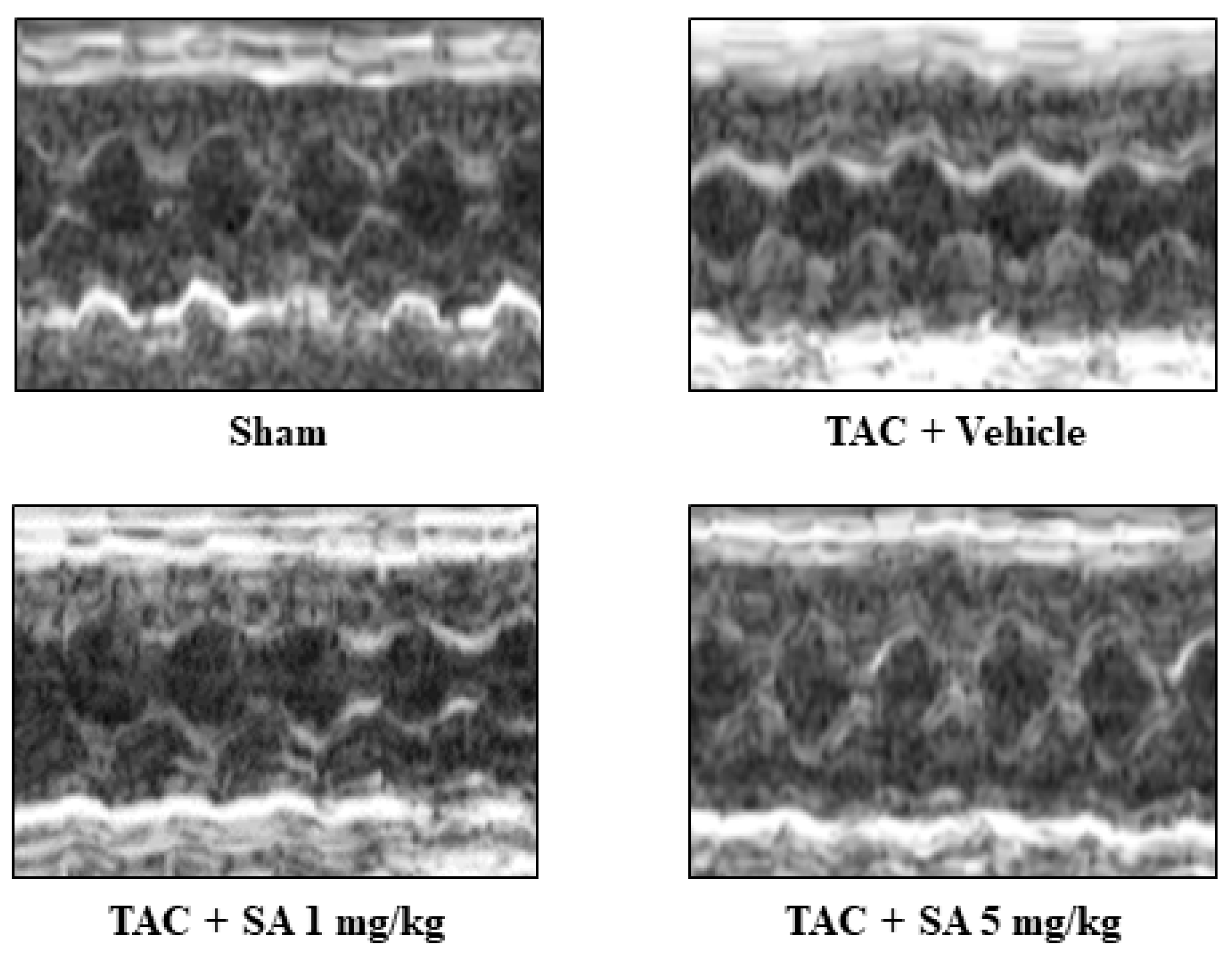Pharmaceuticals 14 01268 g003 Pharmaceuticals 14 01268 g003
