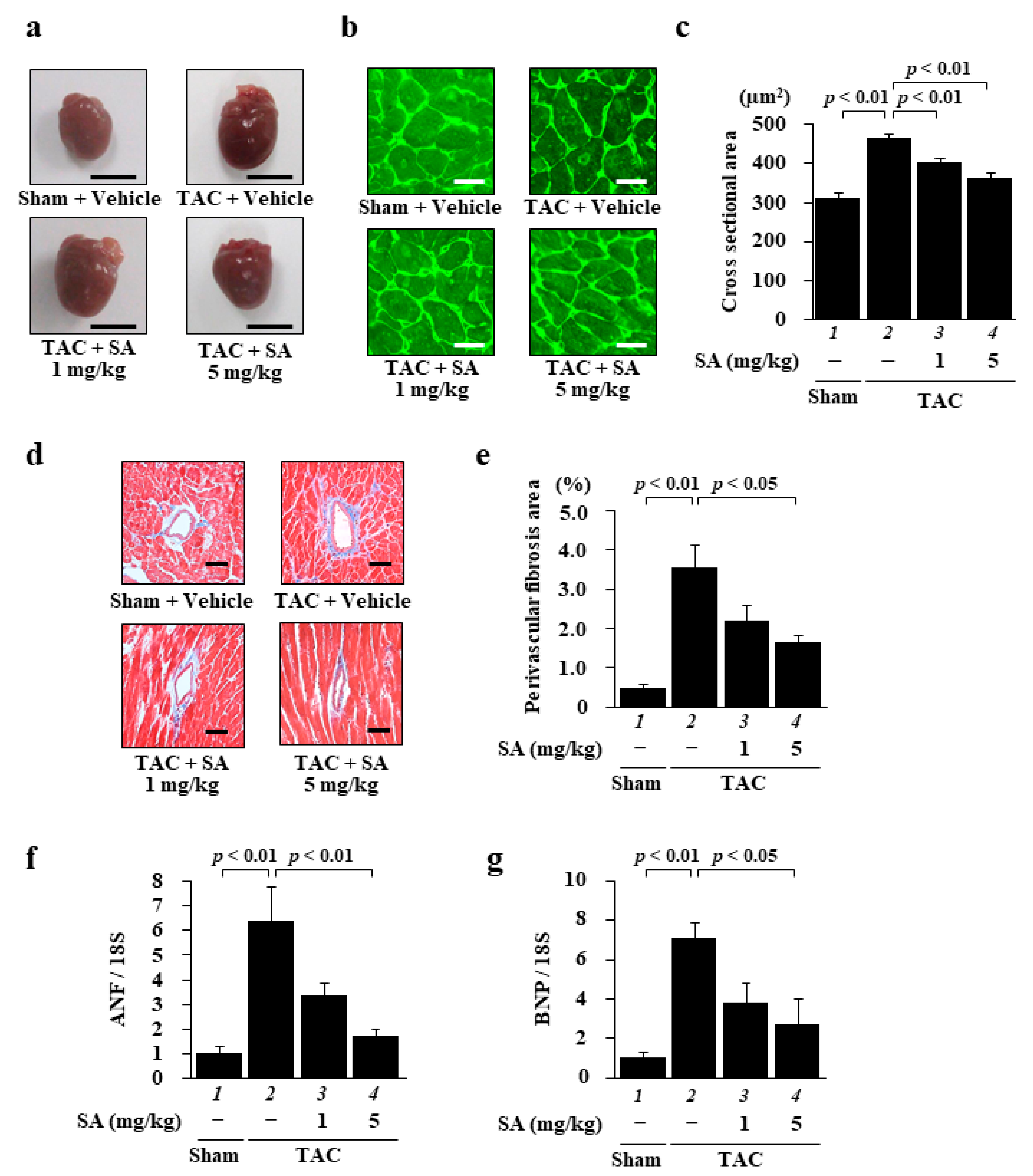 Pharmaceuticals 14 01268 g004 Pharmaceuticals 14 01268 g004