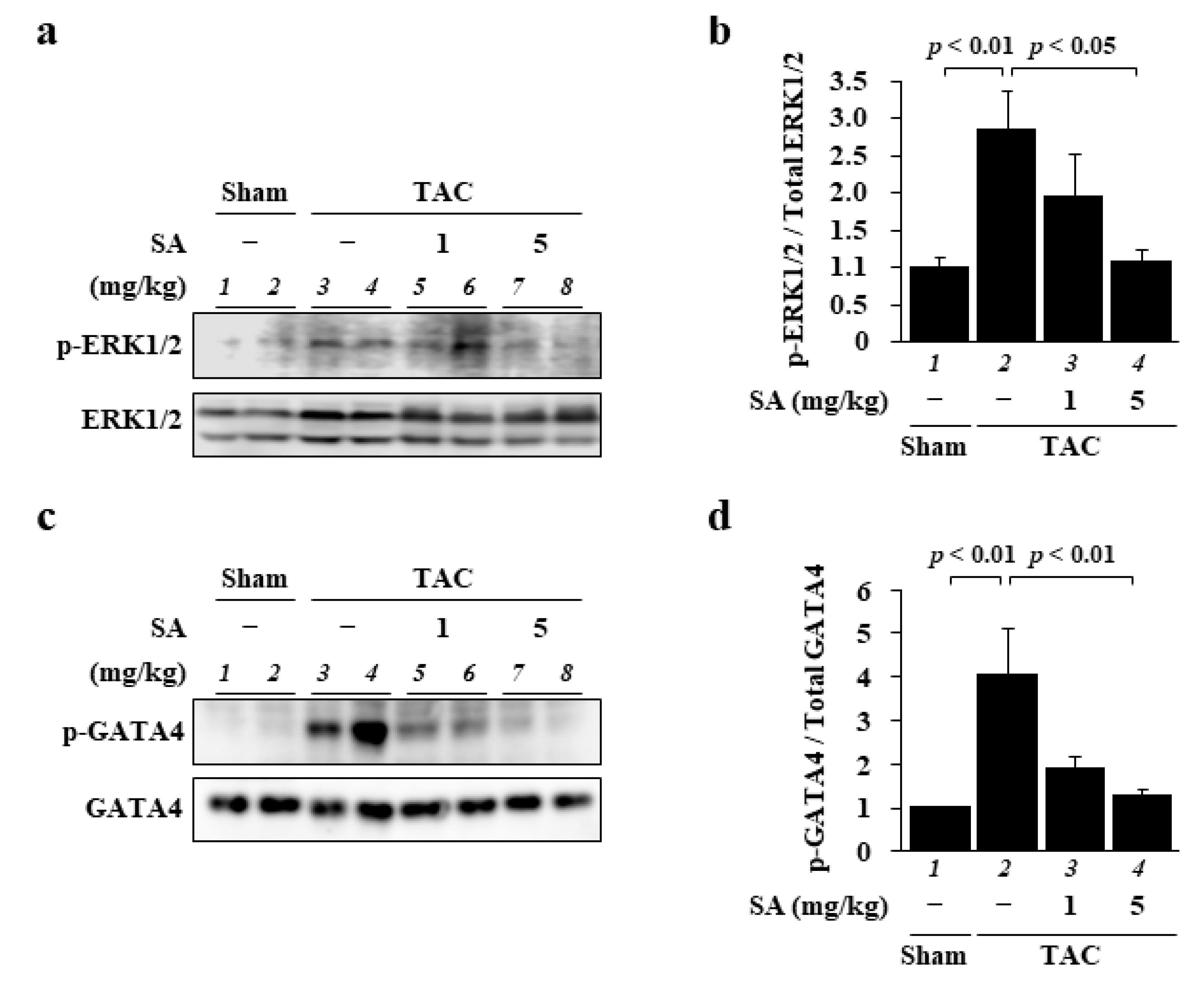 Pharmaceuticals 14 01268 g005 Pharmaceuticals 14 01268 g005