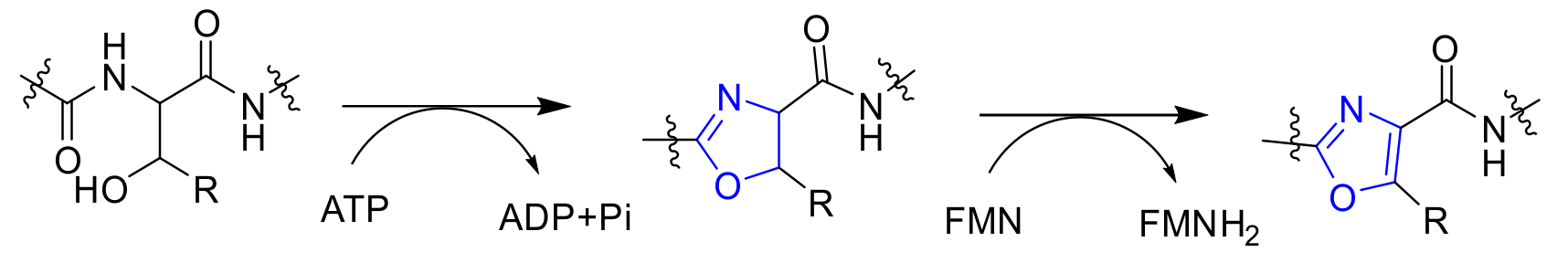 Pharmaceuticals 14 01274 g001 550