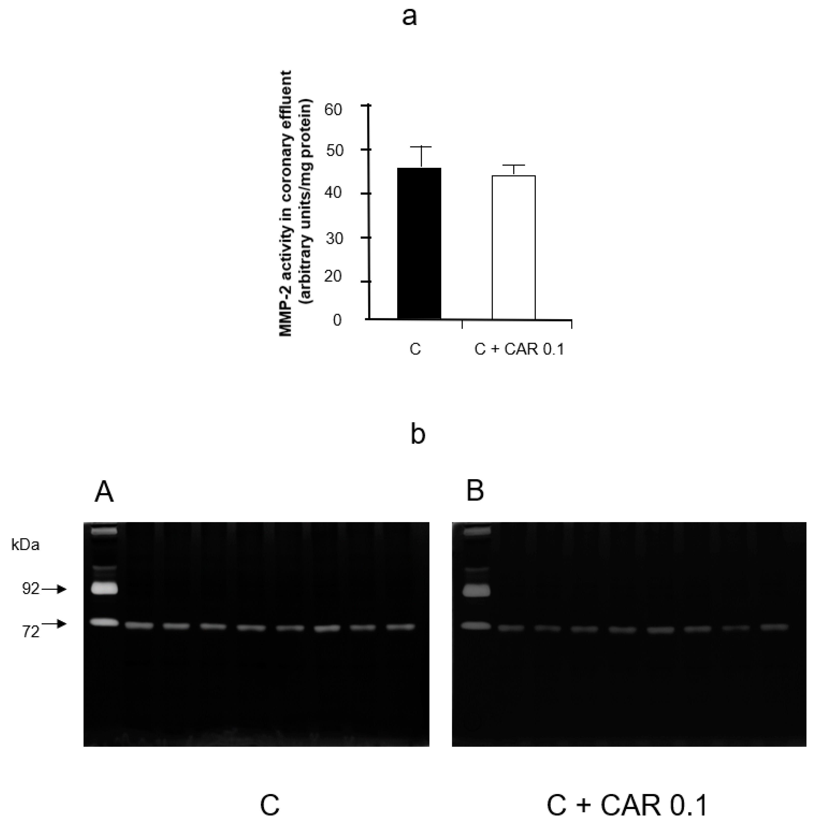 Pharmaceuticals 14 01276 g003 550