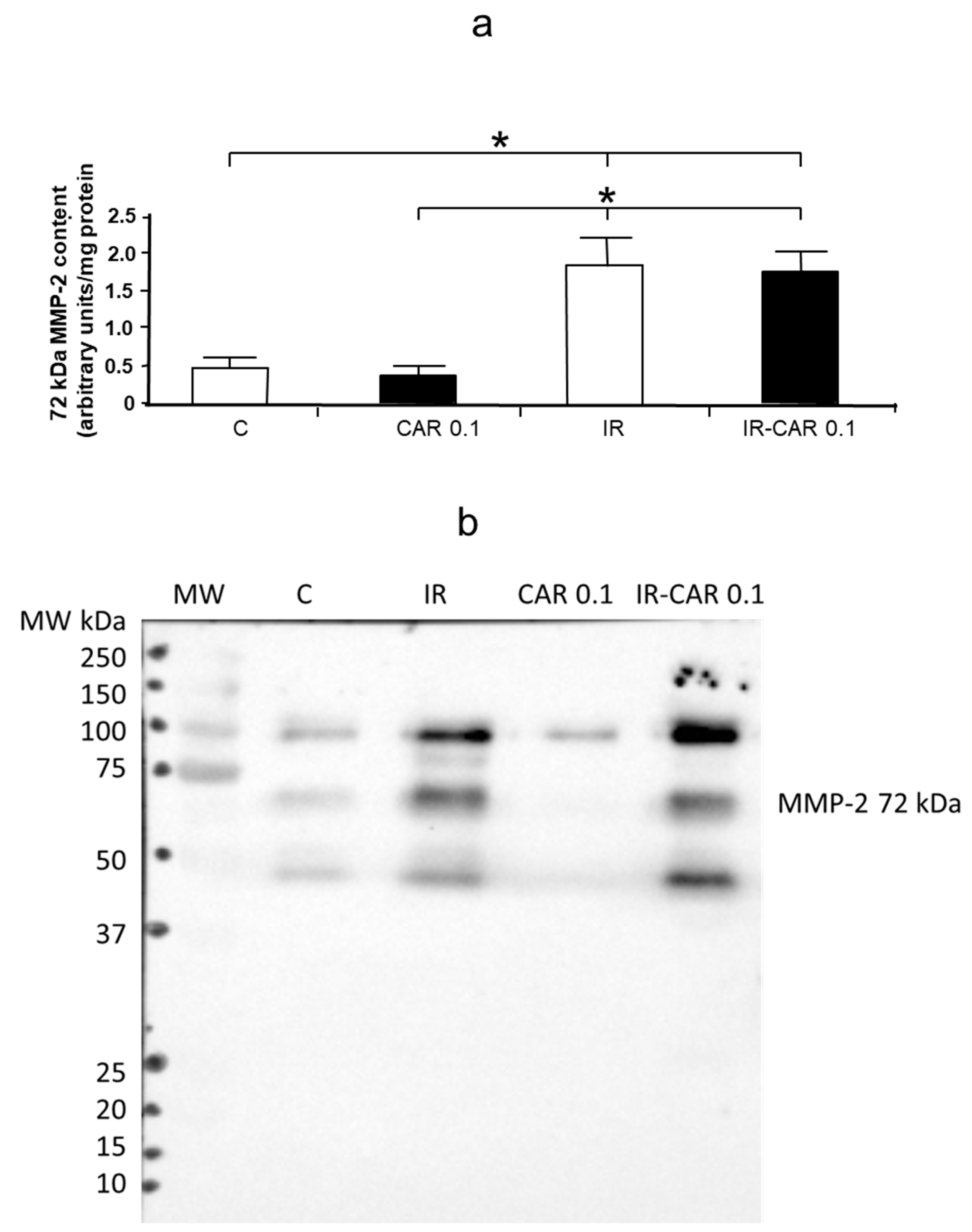 Pharmaceuticals 14 01276 g005 550