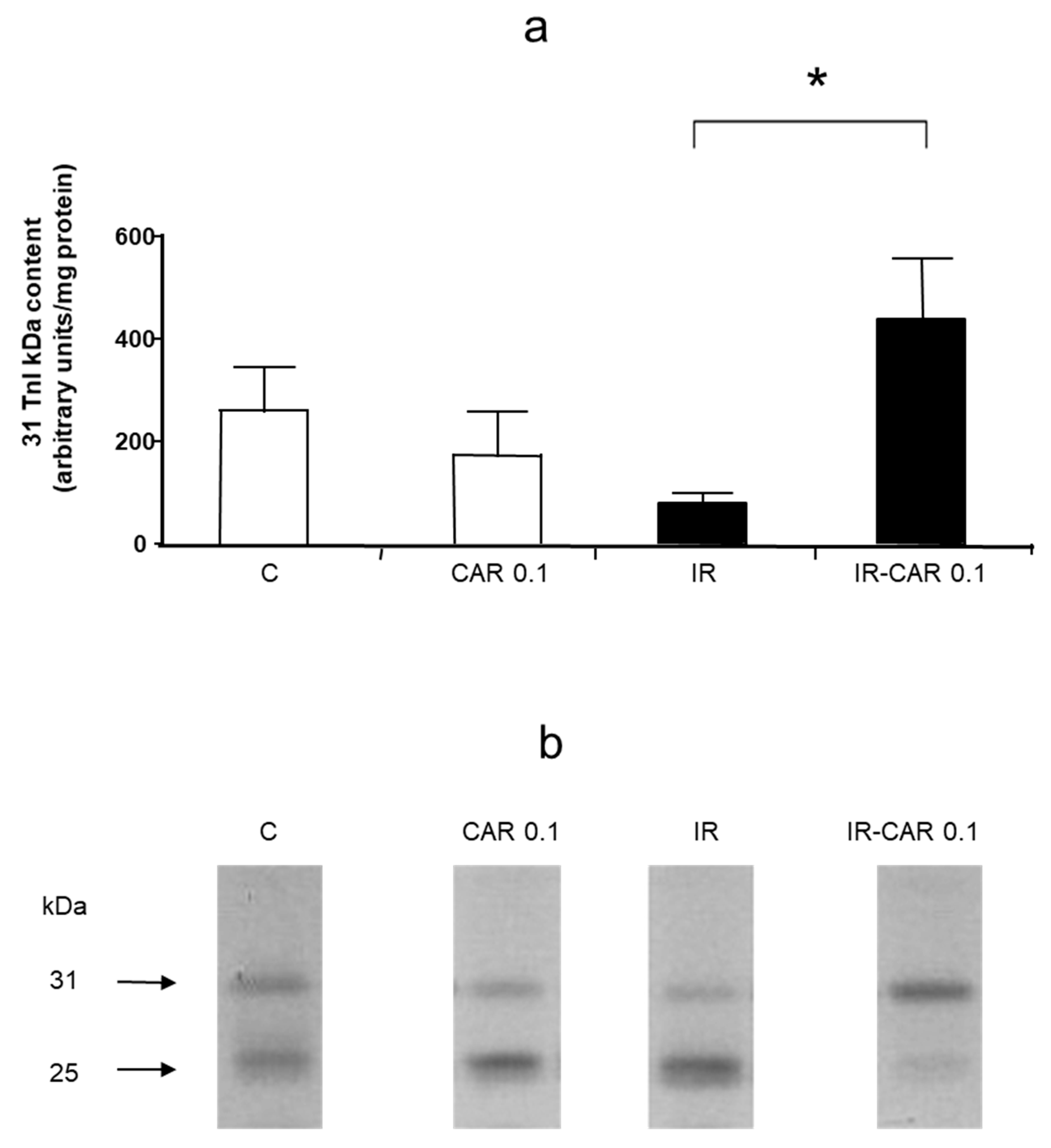 Pharmaceuticals 14 01276 g006a 550