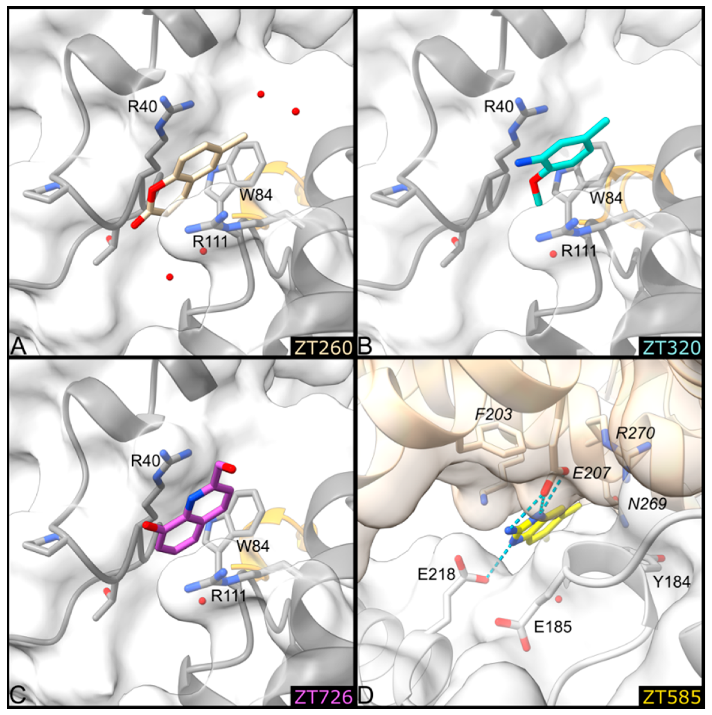 Pharmaceuticals 14 01282 g007