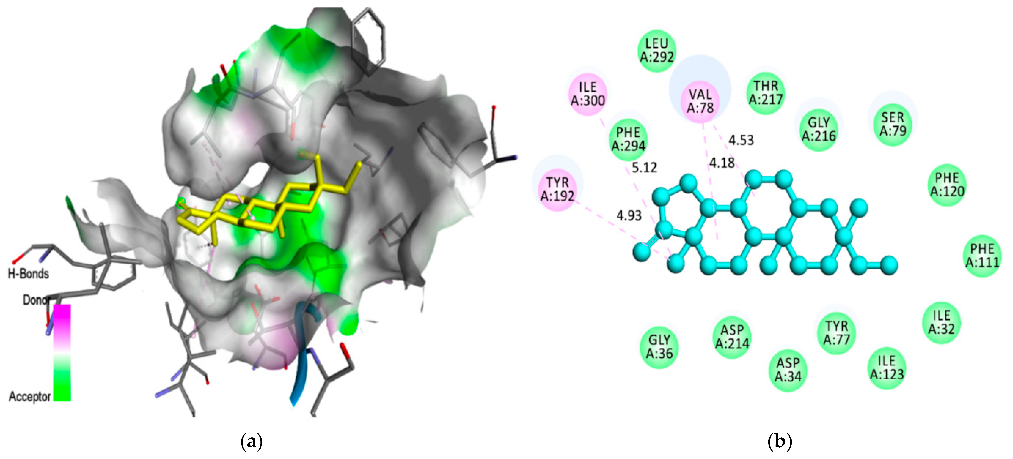 Pharmaceuticals 14 01285 g005