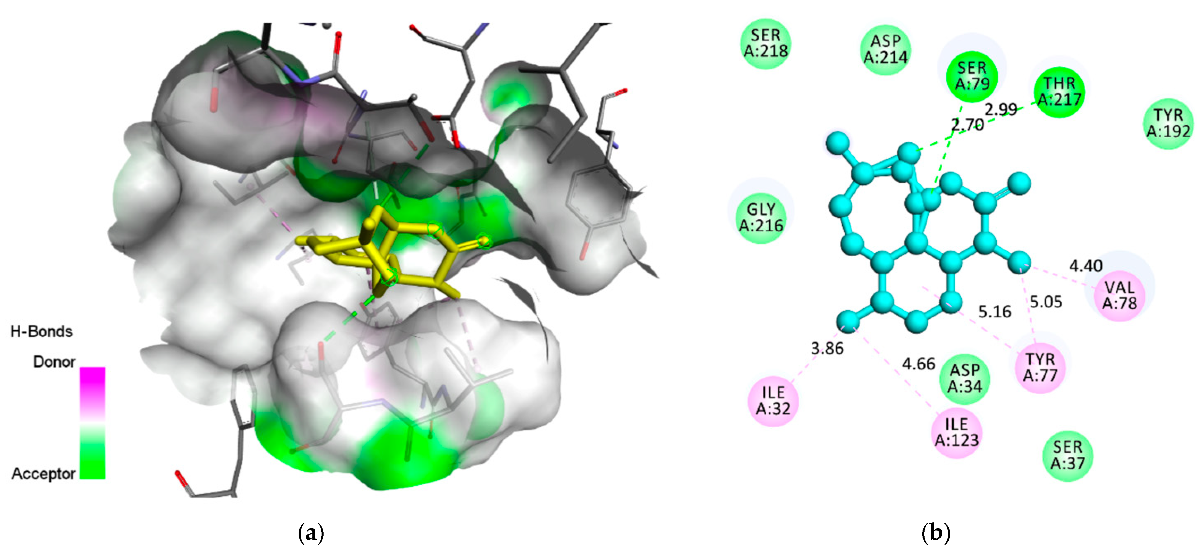 Pharmaceuticals 14 01285 g006