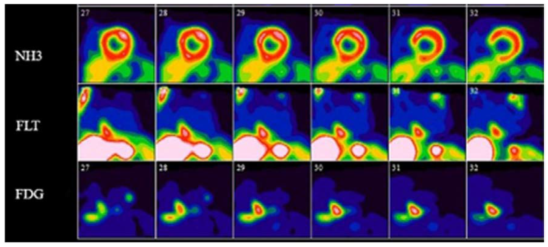 Pharmaceuticals 14 01286 g005 Pharmaceuticals 14 01286 g005