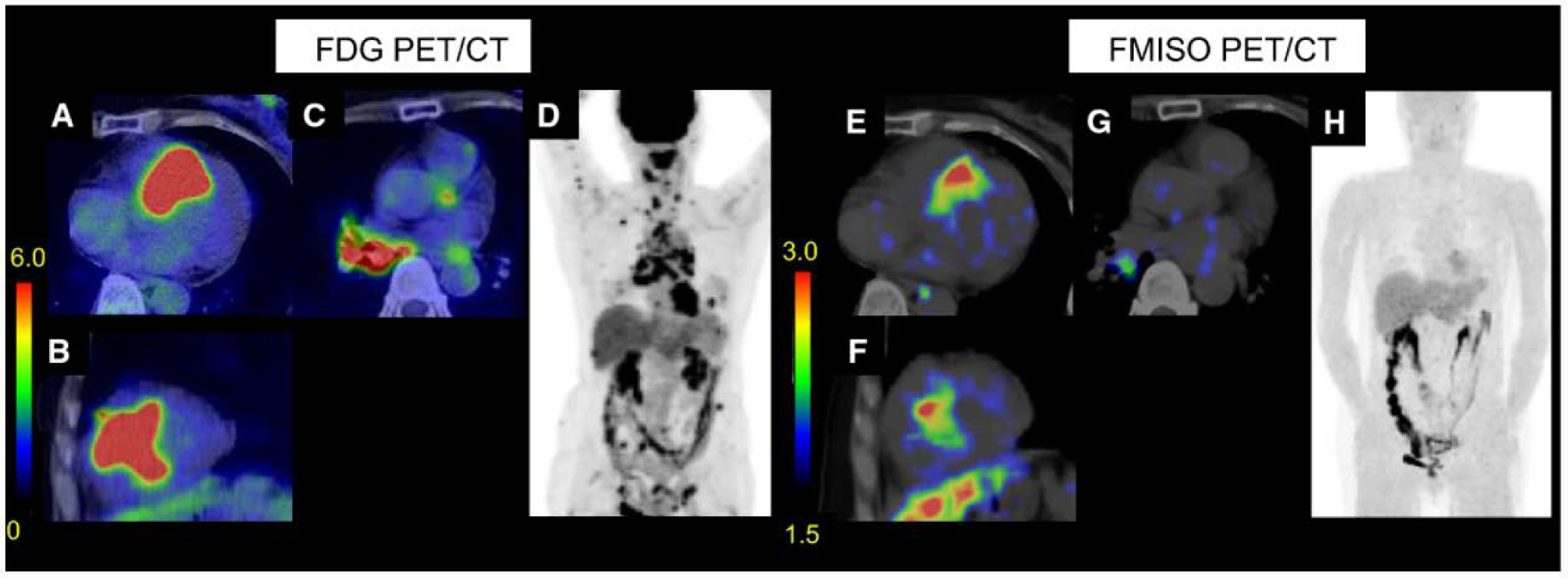 Pharmaceuticals 14 01286 g006 Pharmaceuticals 14 01286 g006