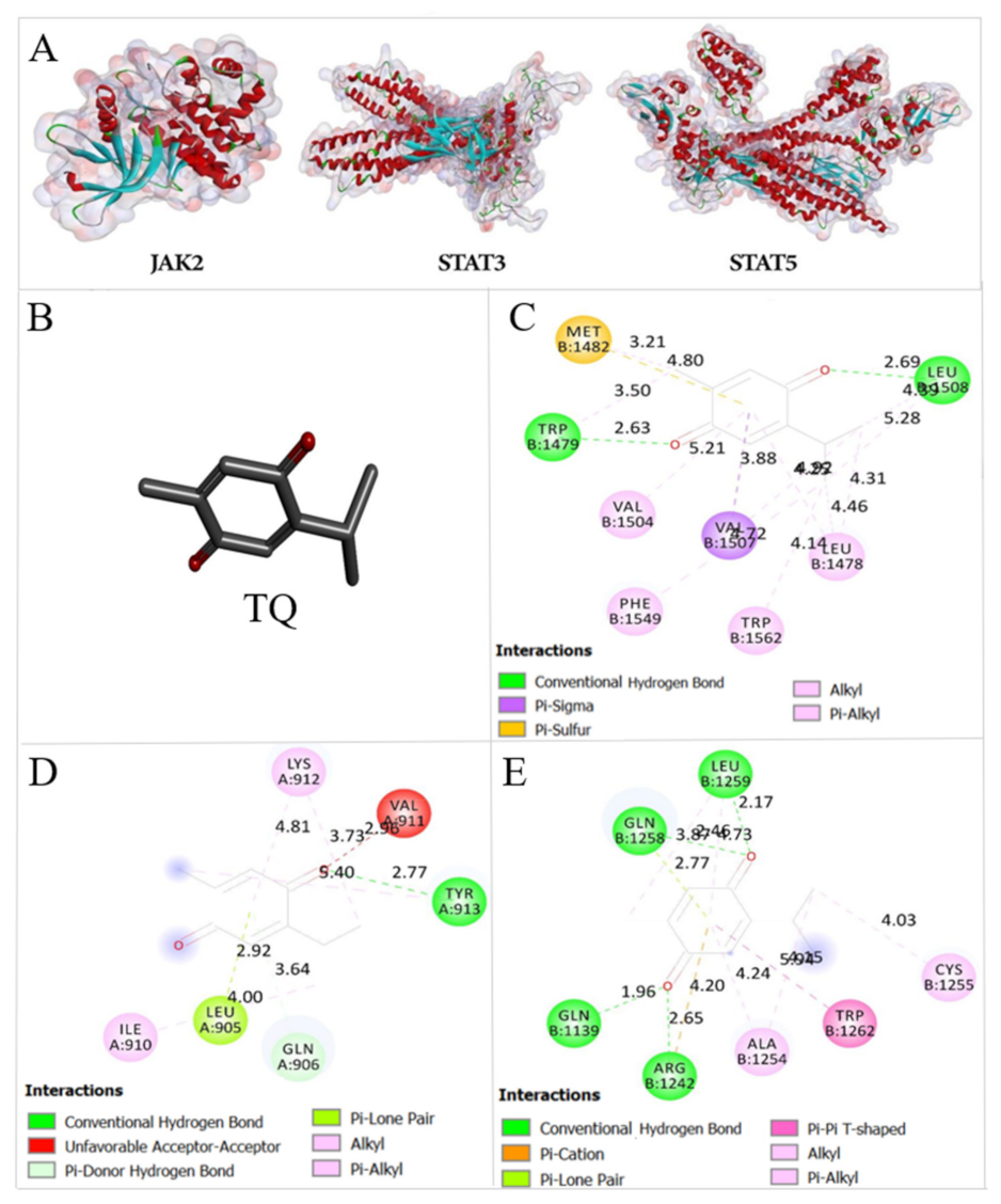 Pharmaceuticals 14 01287 g008