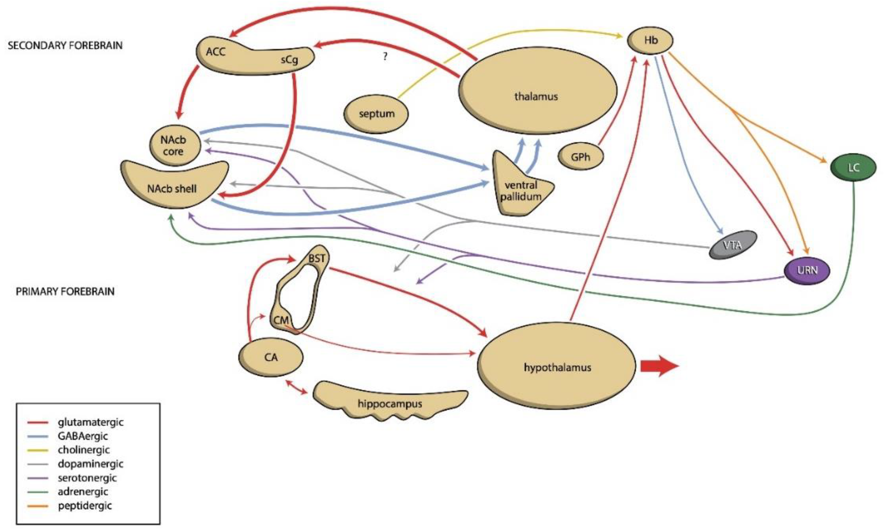 Pharmaceuticals 14 01288 g001