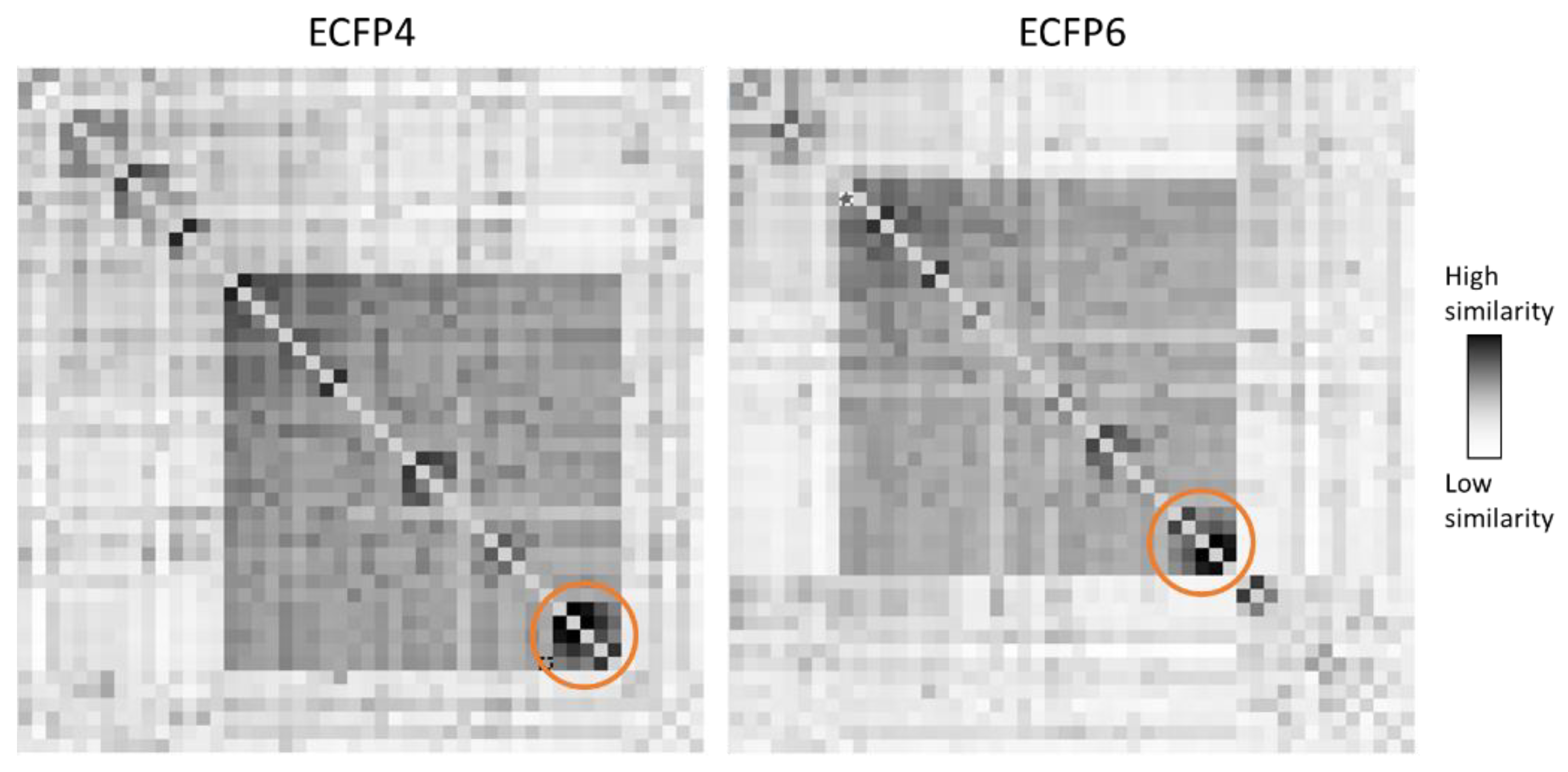 Pharmaceuticals 14 01289 g003