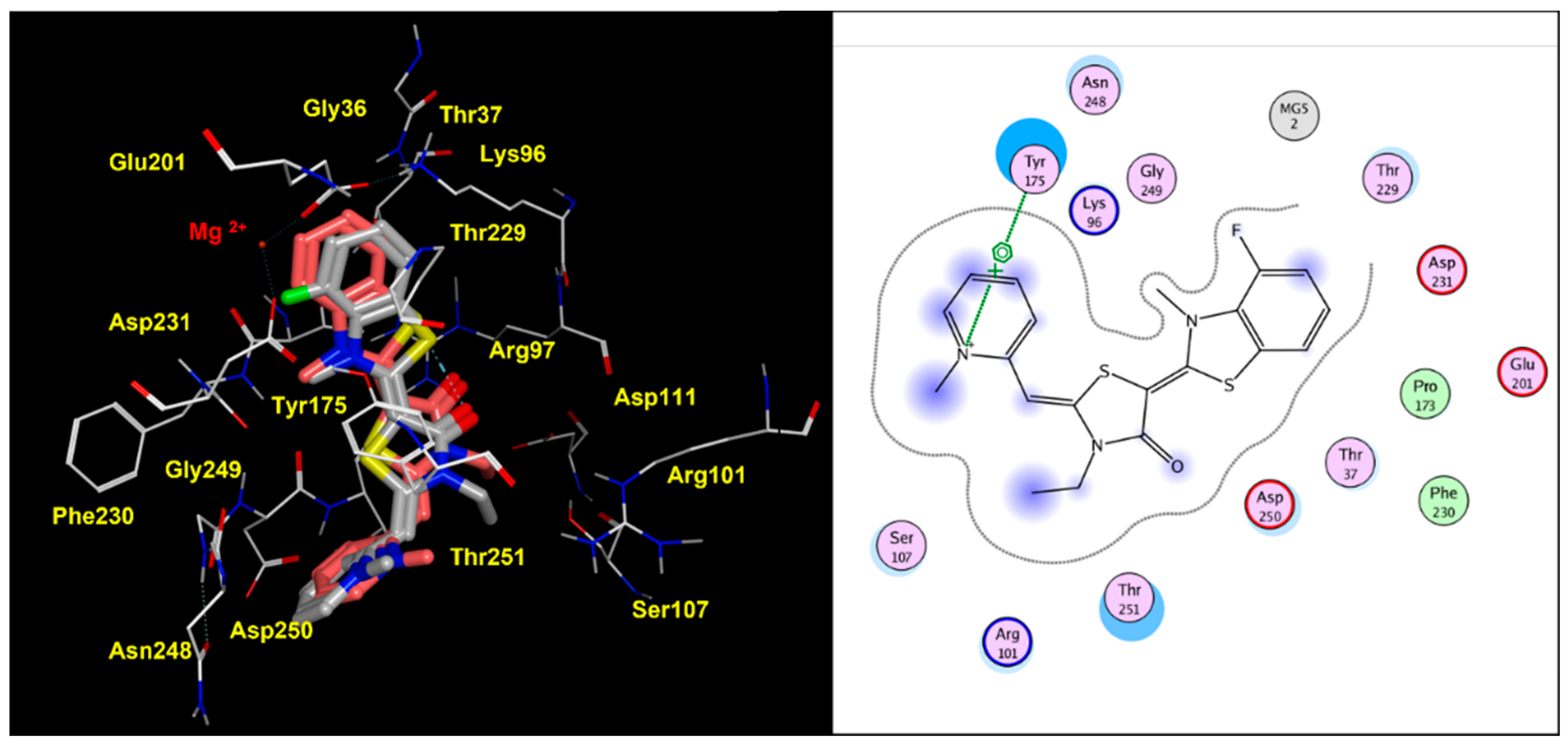 Pharmaceuticals 14 01296 g007