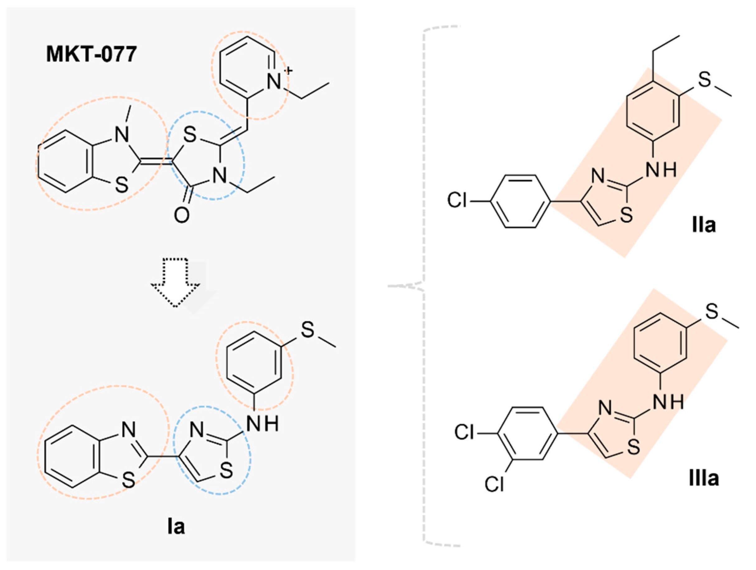 Pharmaceuticals 14 01296 g011
