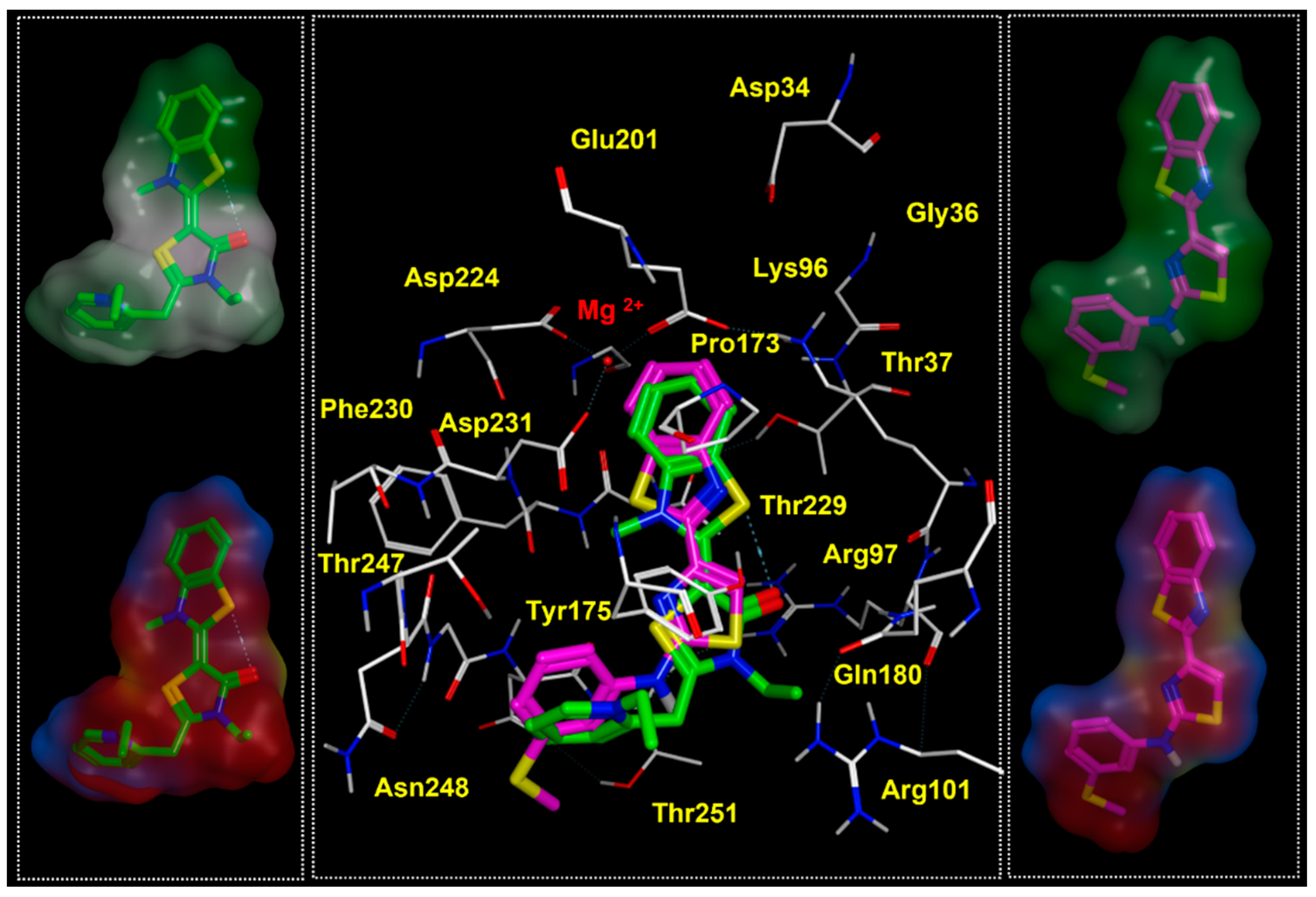 Pharmaceuticals 14 01296 g012