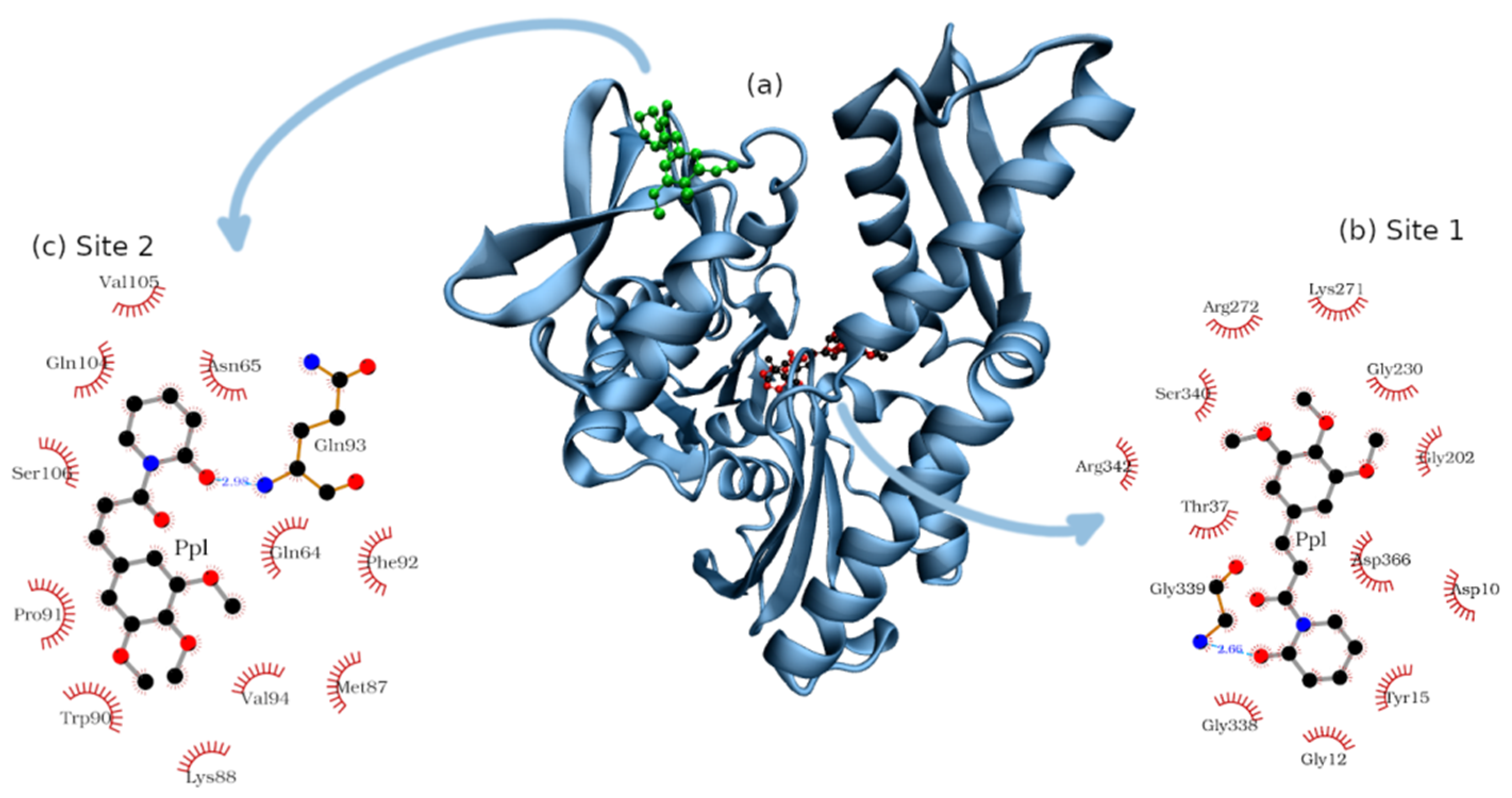 Pharmaceuticals 14 01298 g009 550