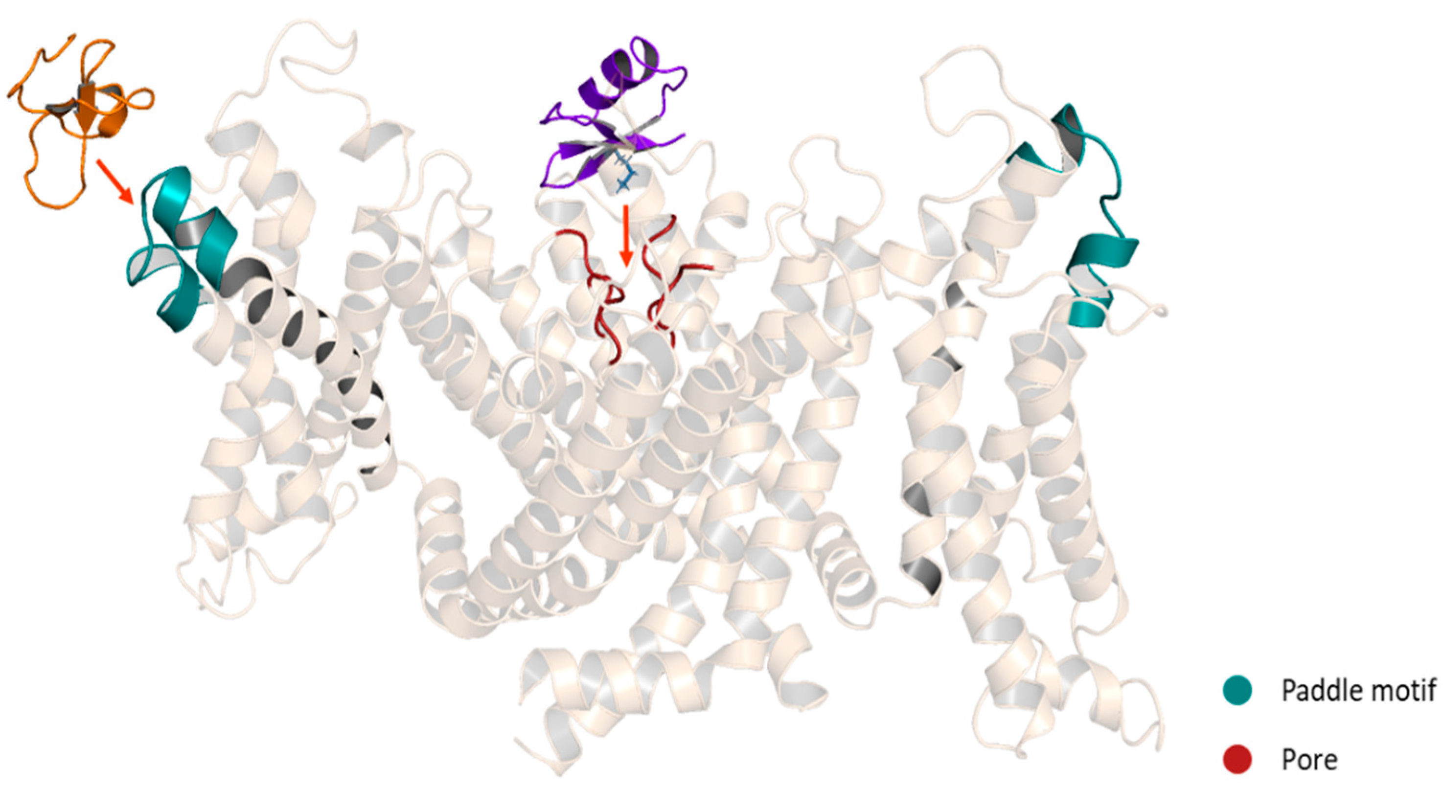 Pharmaceuticals 14 01303 g008 550