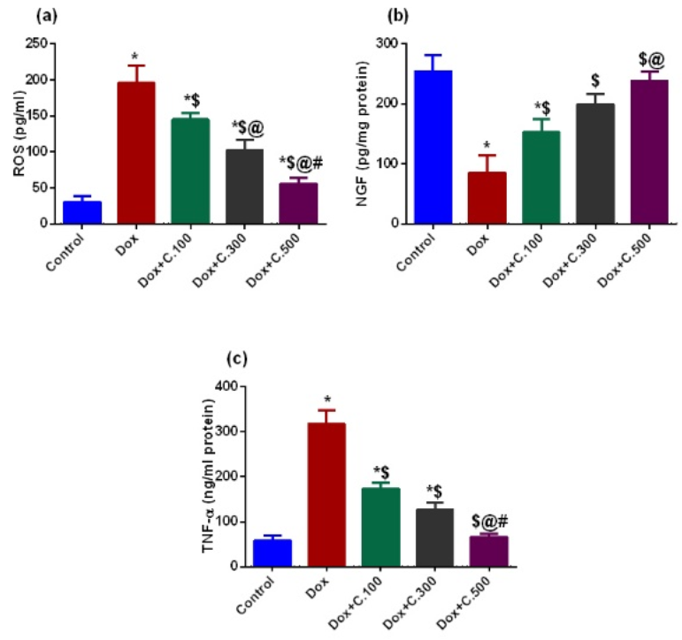Pharmaceuticals 14 01305 g002 550