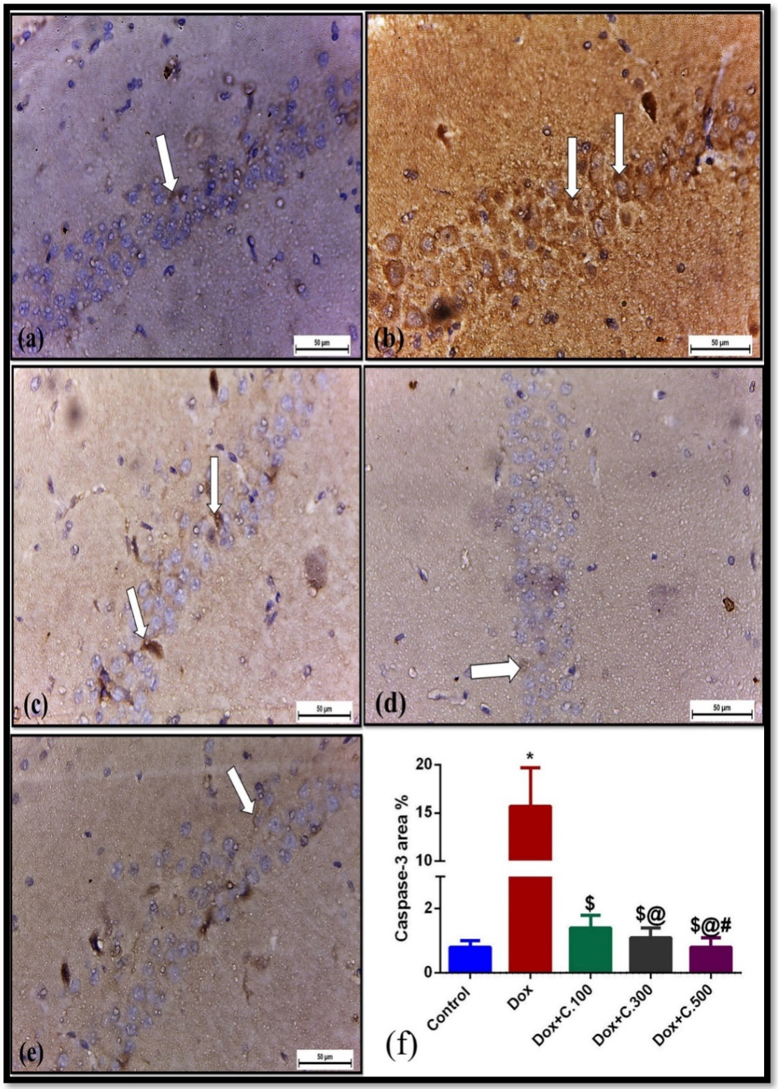 Pharmaceuticals 14 01305 g004 550