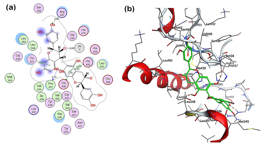 Pharmaceuticals 14 01305 g005 550