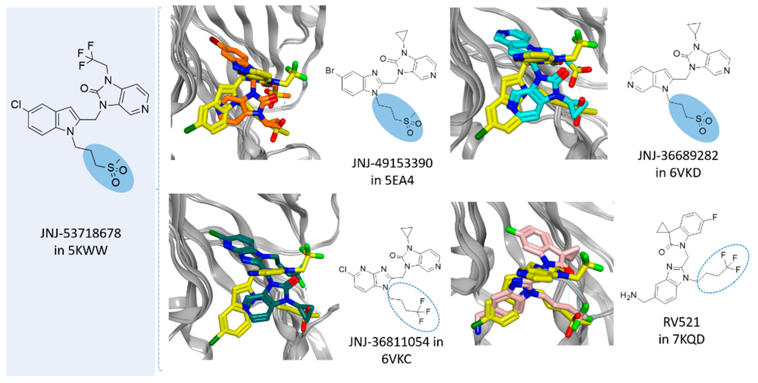 Pharmaceuticals 14 01307 g012