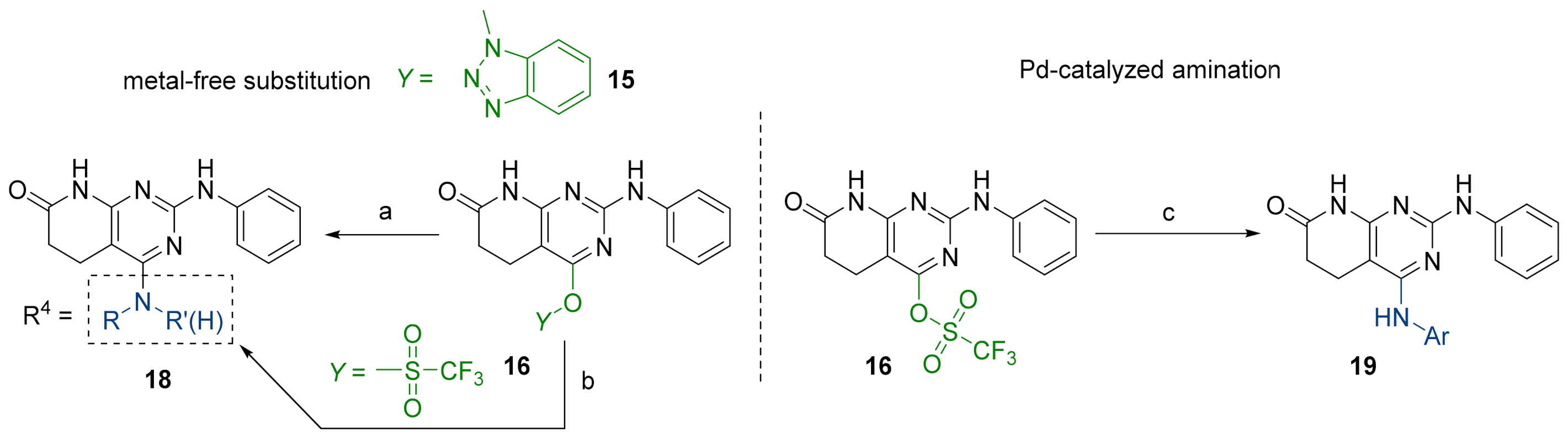 Pharmaceuticals 14 01311 g006