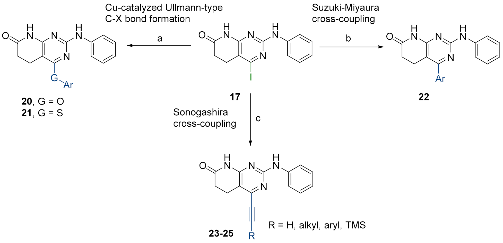 Pharmaceuticals 14 01311 g007