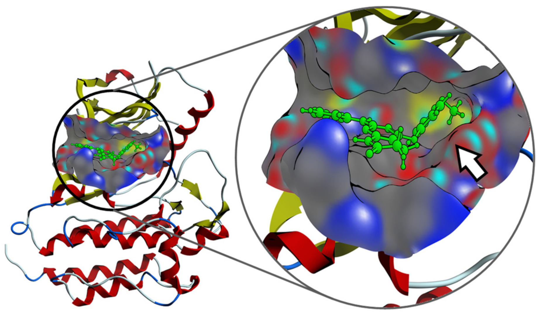 Pharmaceuticals 14 01311 g010