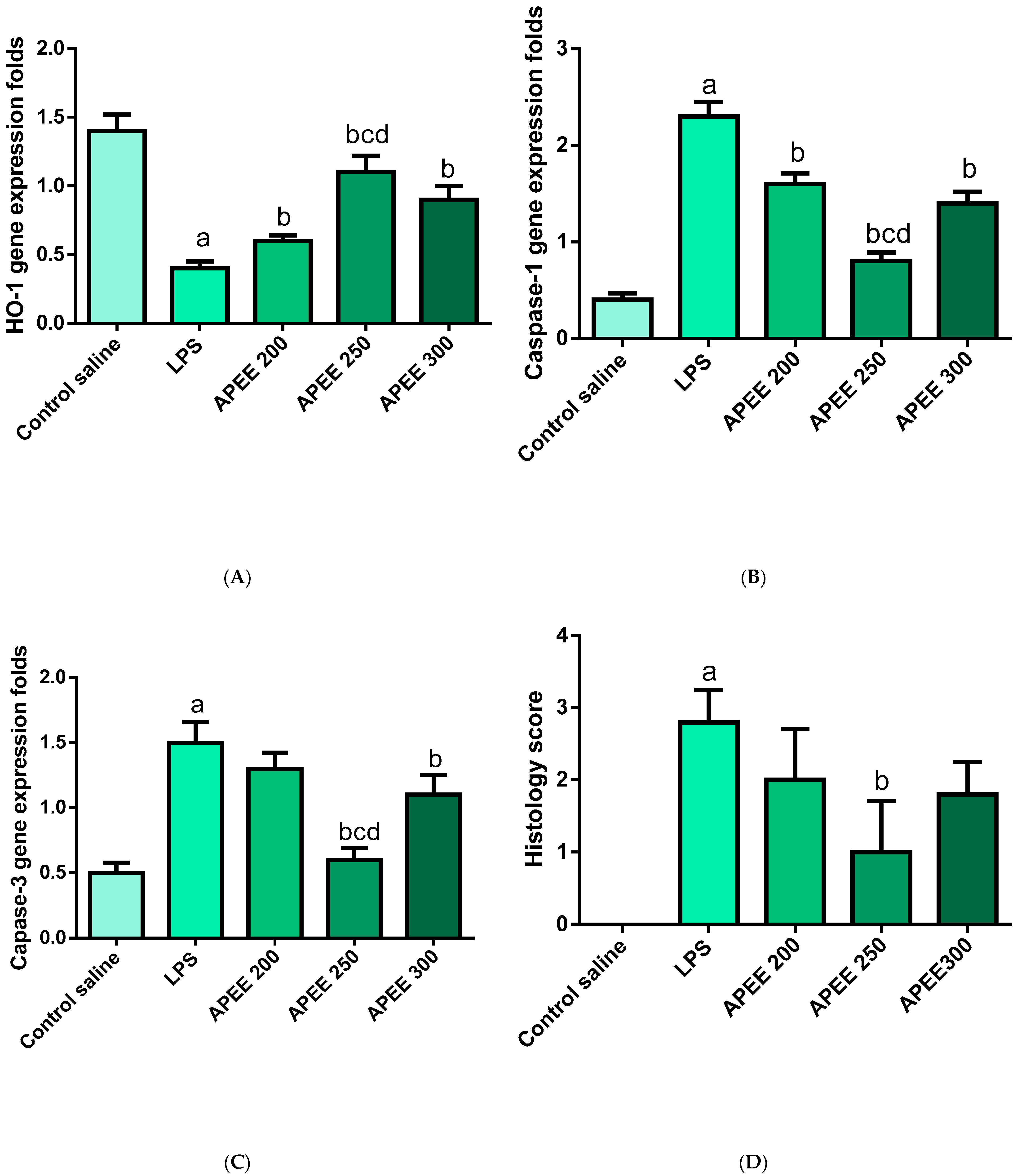 Pharmaceuticals 14 01313 g007 Pharmaceuticals 14 01313 g007