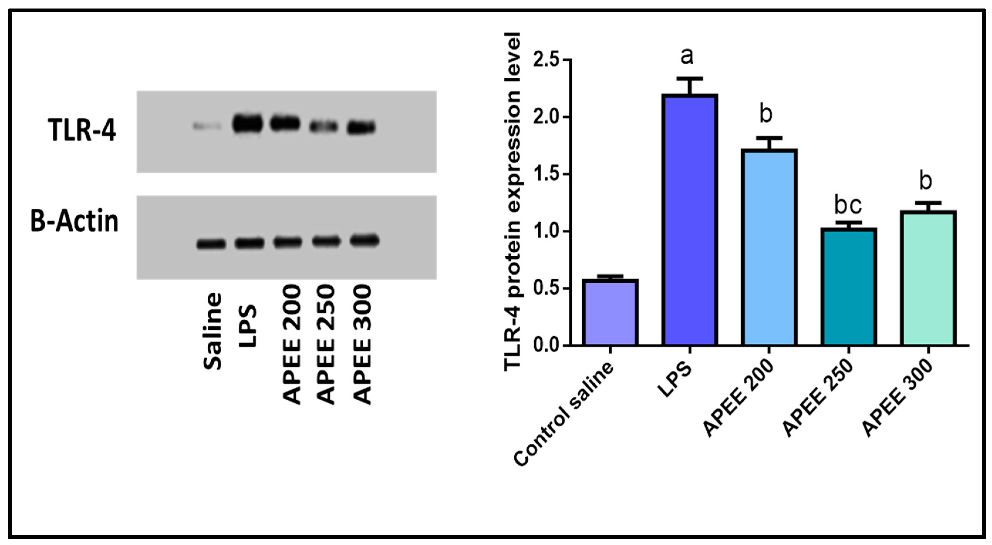 Pharmaceuticals 14 01313 g008 Pharmaceuticals 14 01313 g008