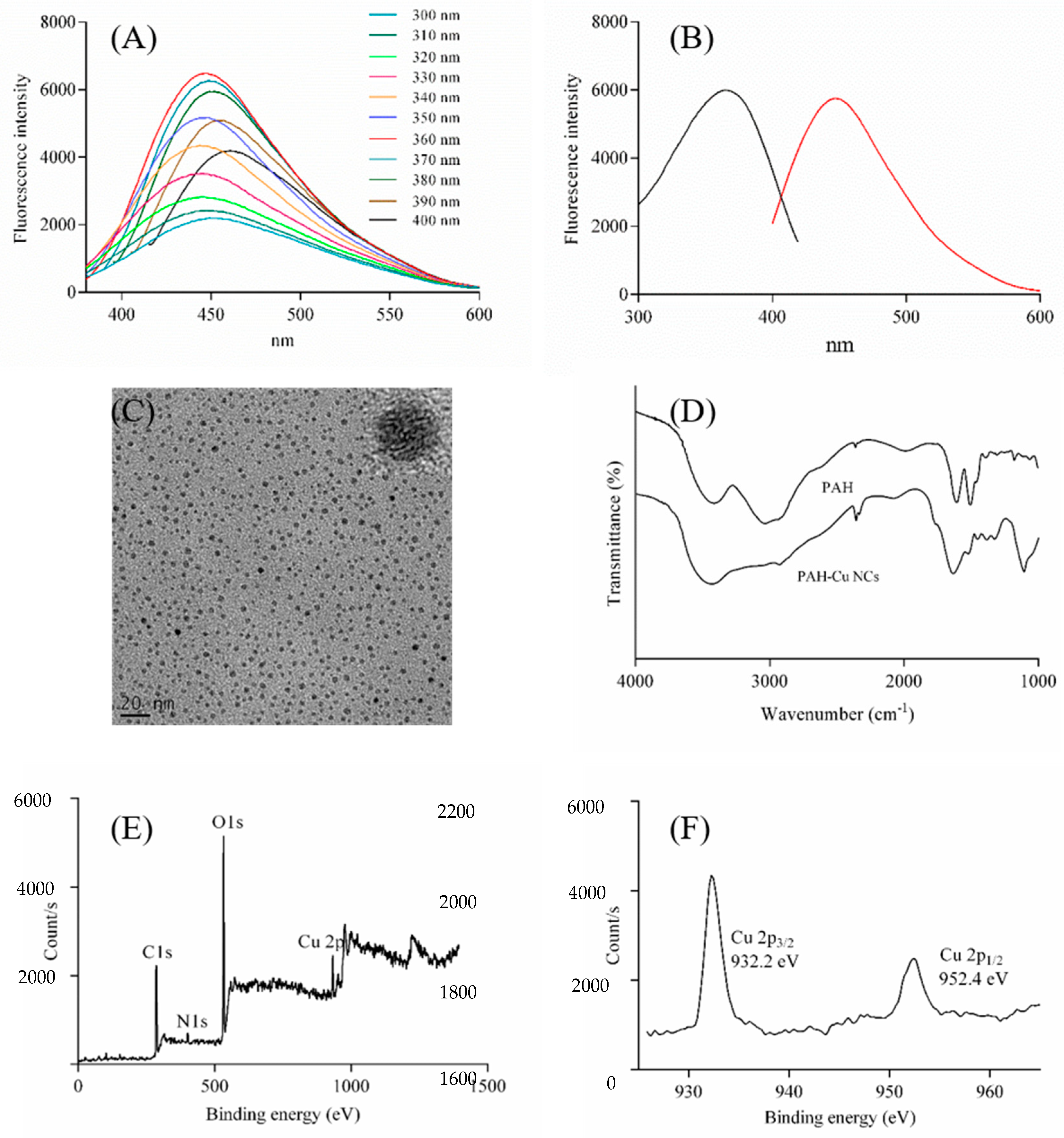 Pharmaceuticals 14 01314 g002 550