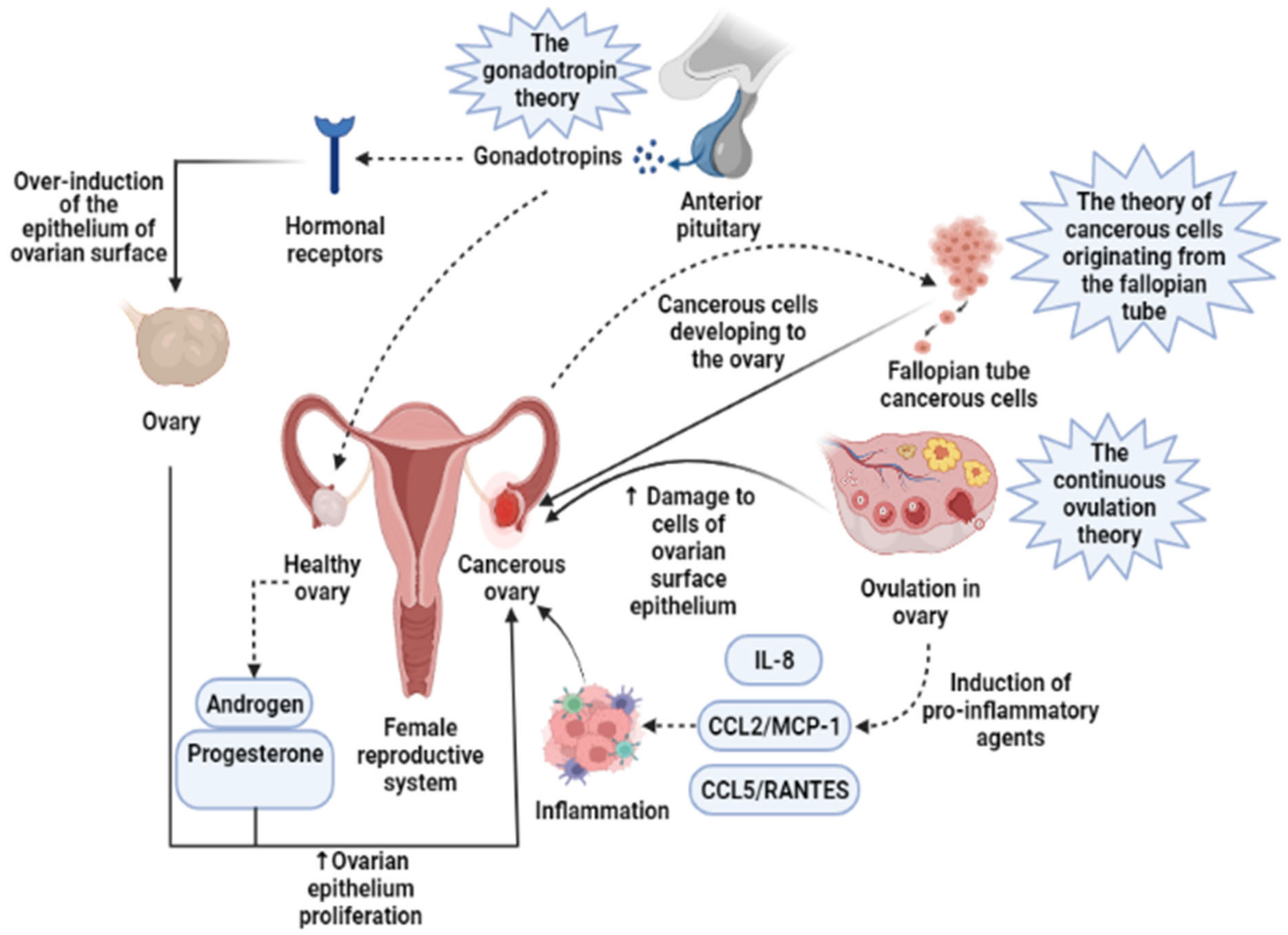 Pharmaceuticals 14 01315 g001 Pharmaceuticals 14 01315 g001