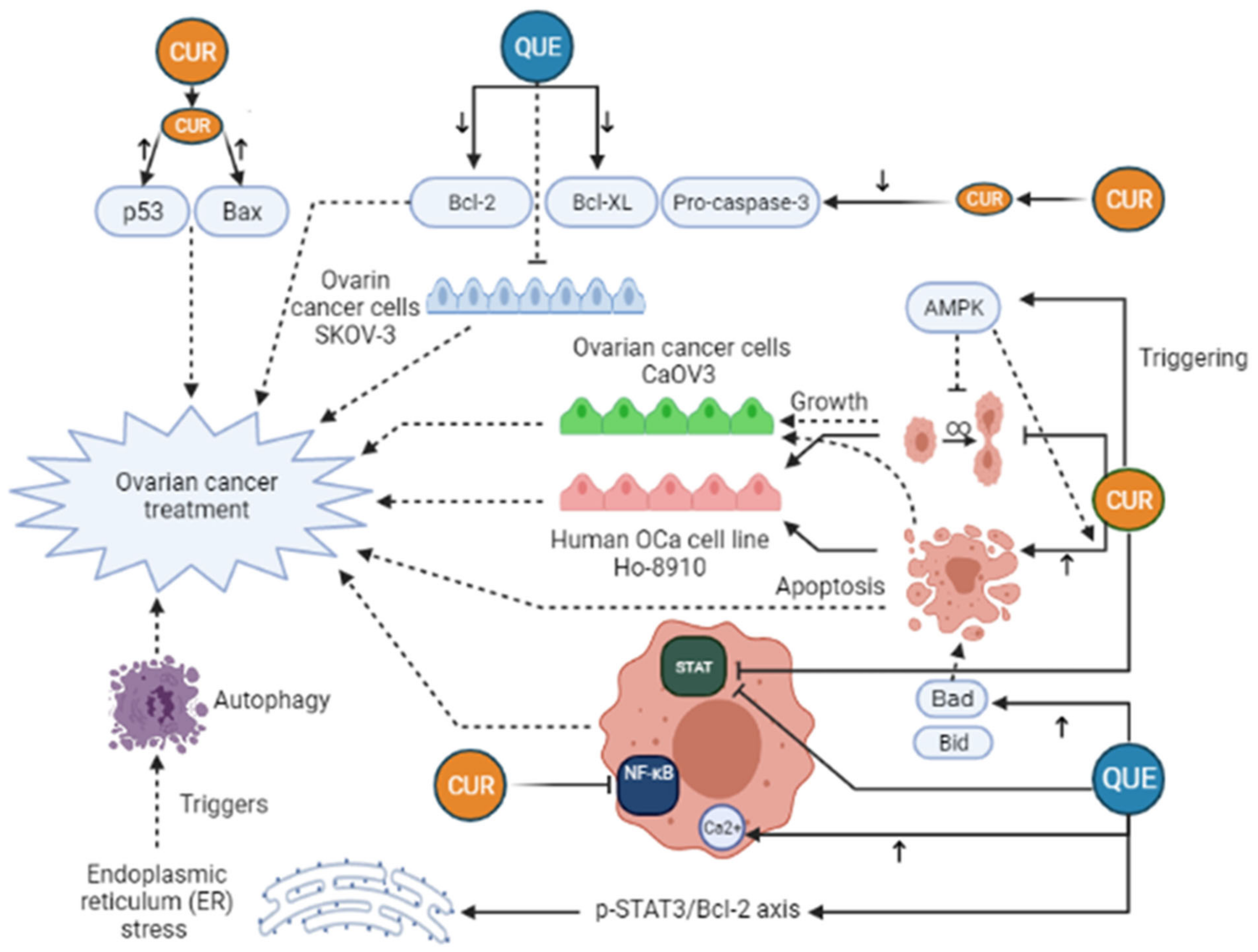 Pharmaceuticals 14 01315 g003 Pharmaceuticals 14 01315 g003
