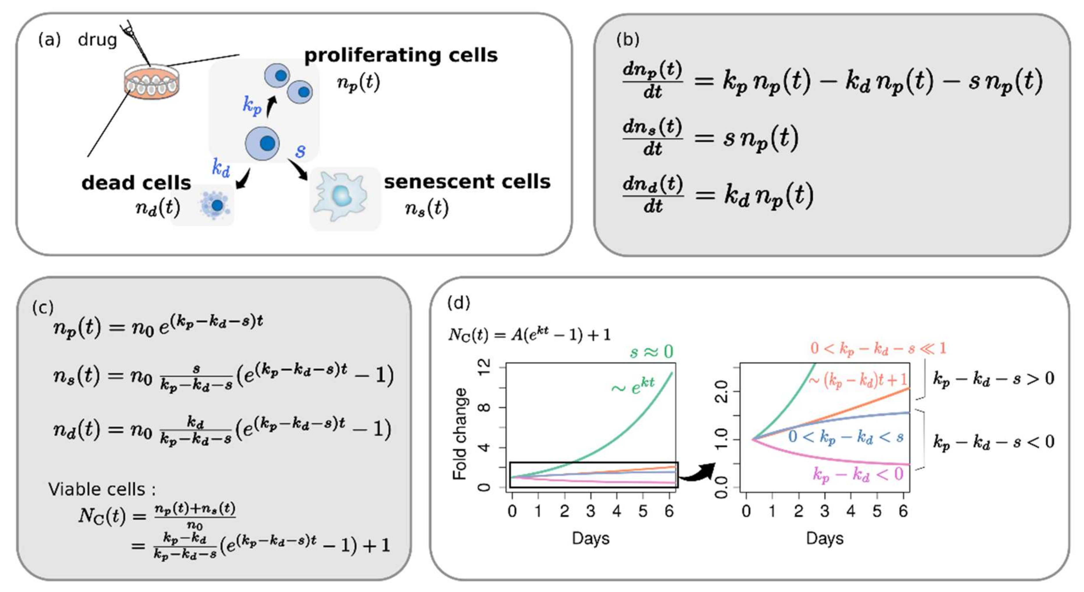 Pharmaceuticals 14 01324 g001