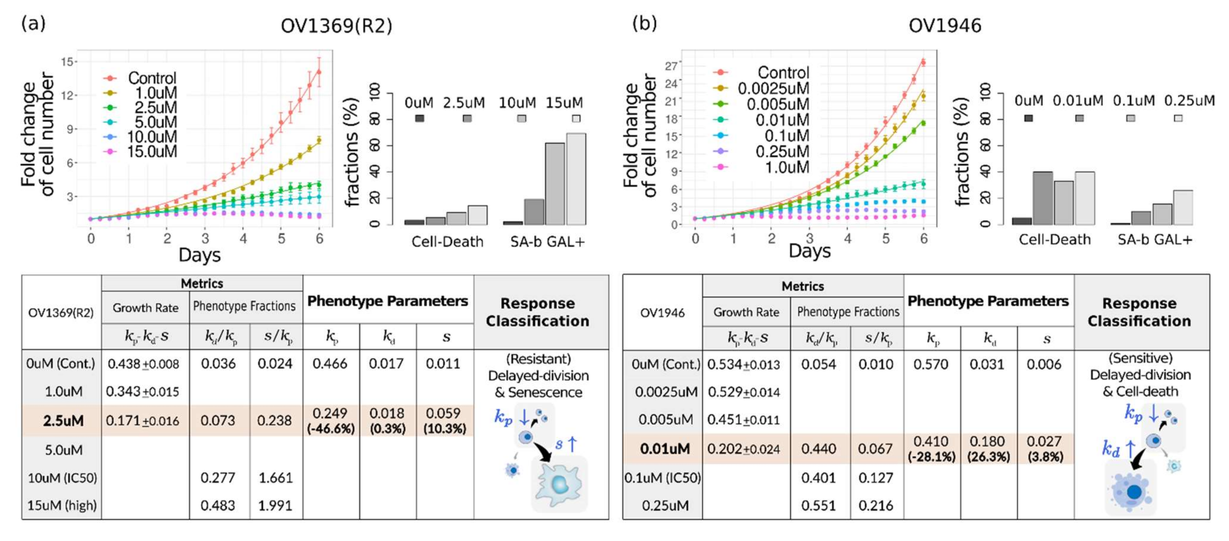 Pharmaceuticals 14 01324 g005
