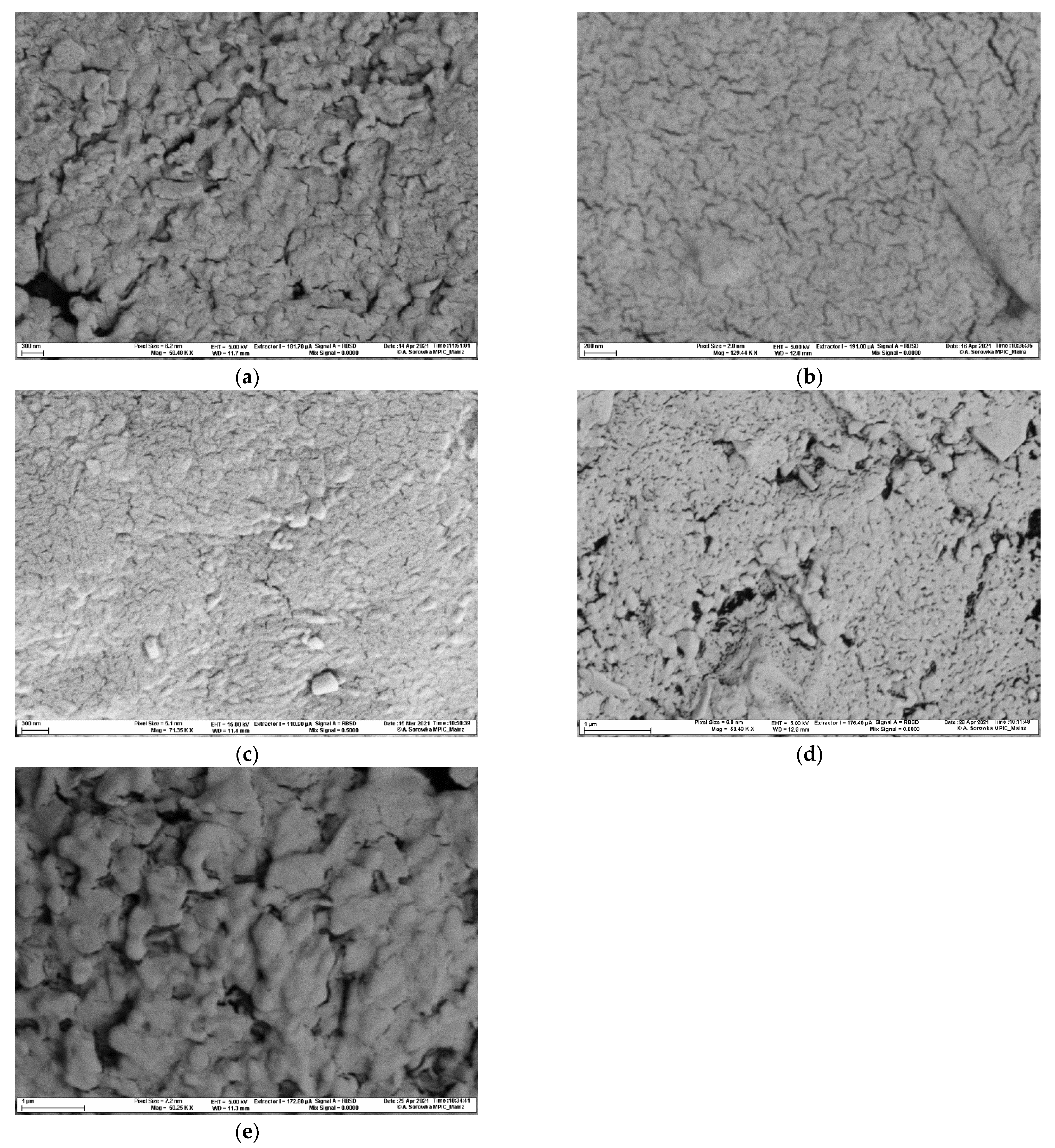 Pharmaceuticals 14 01327 g004