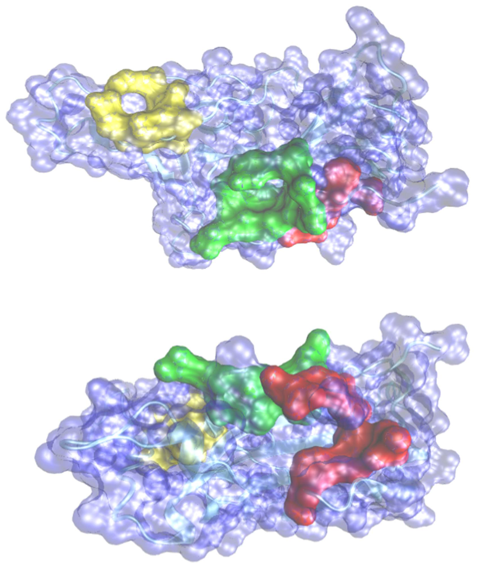 Pharmaceuticals 14 01328 g001