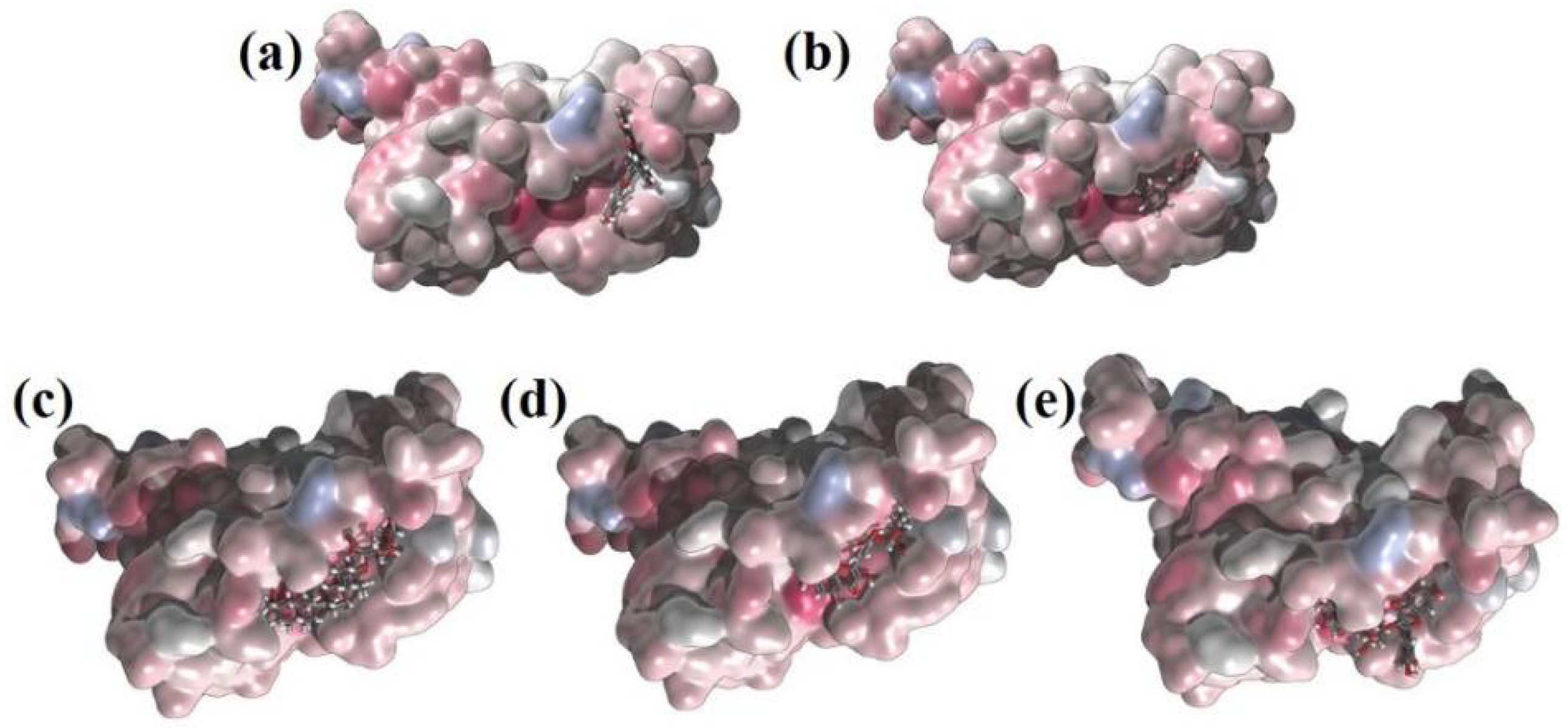 Pharmaceuticals 14 01328 g003