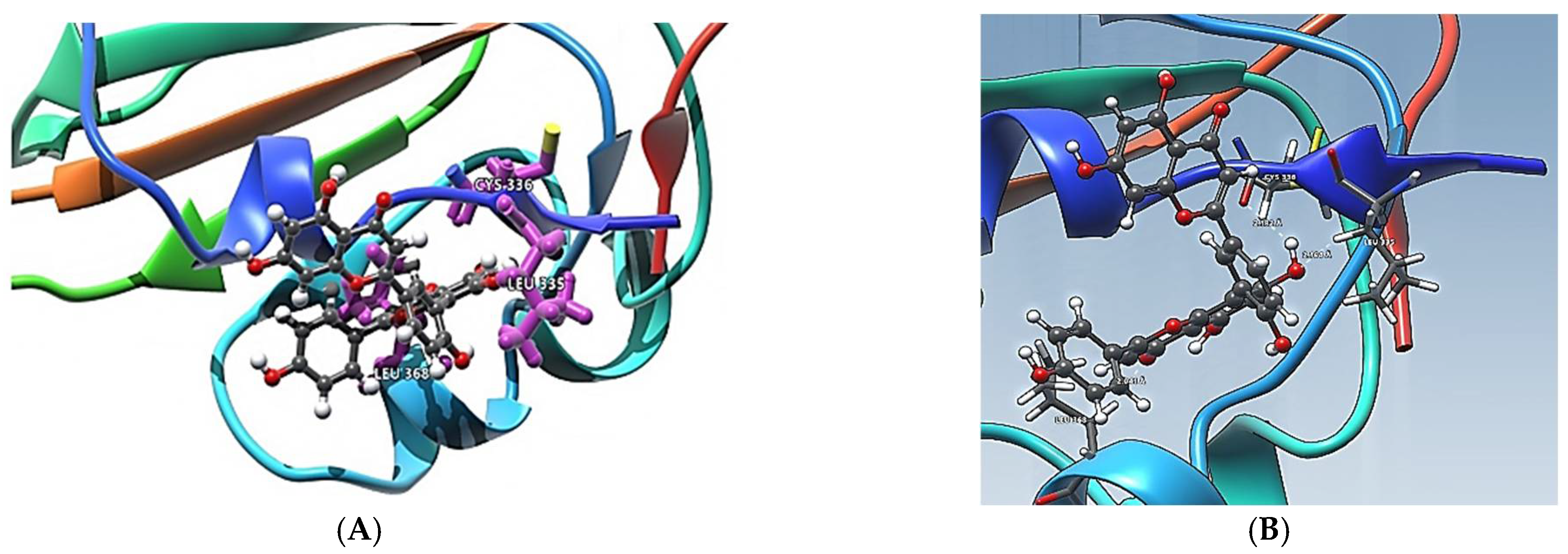 Pharmaceuticals 14 01328 g004