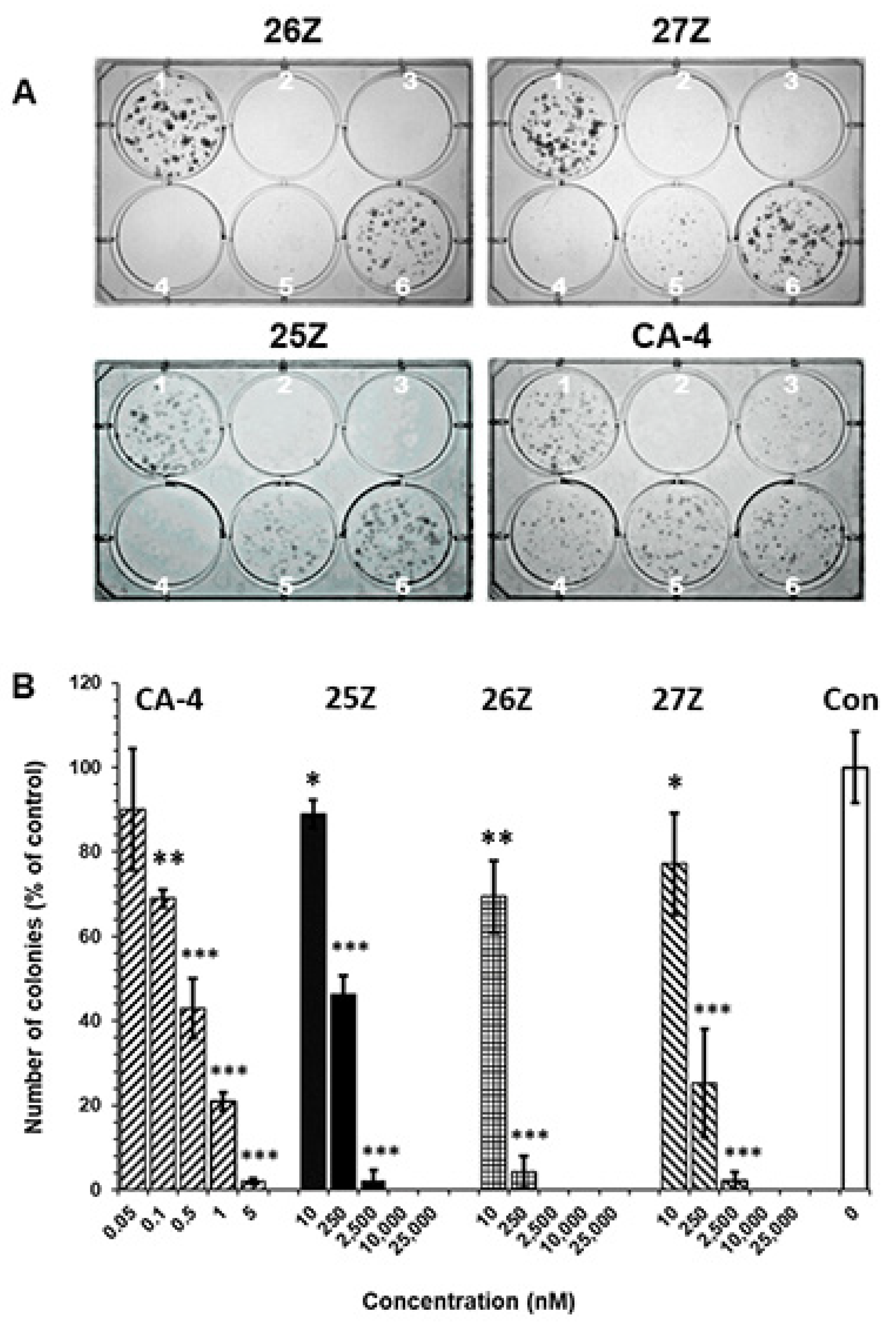 Pharmaceuticals 14 01331 g005