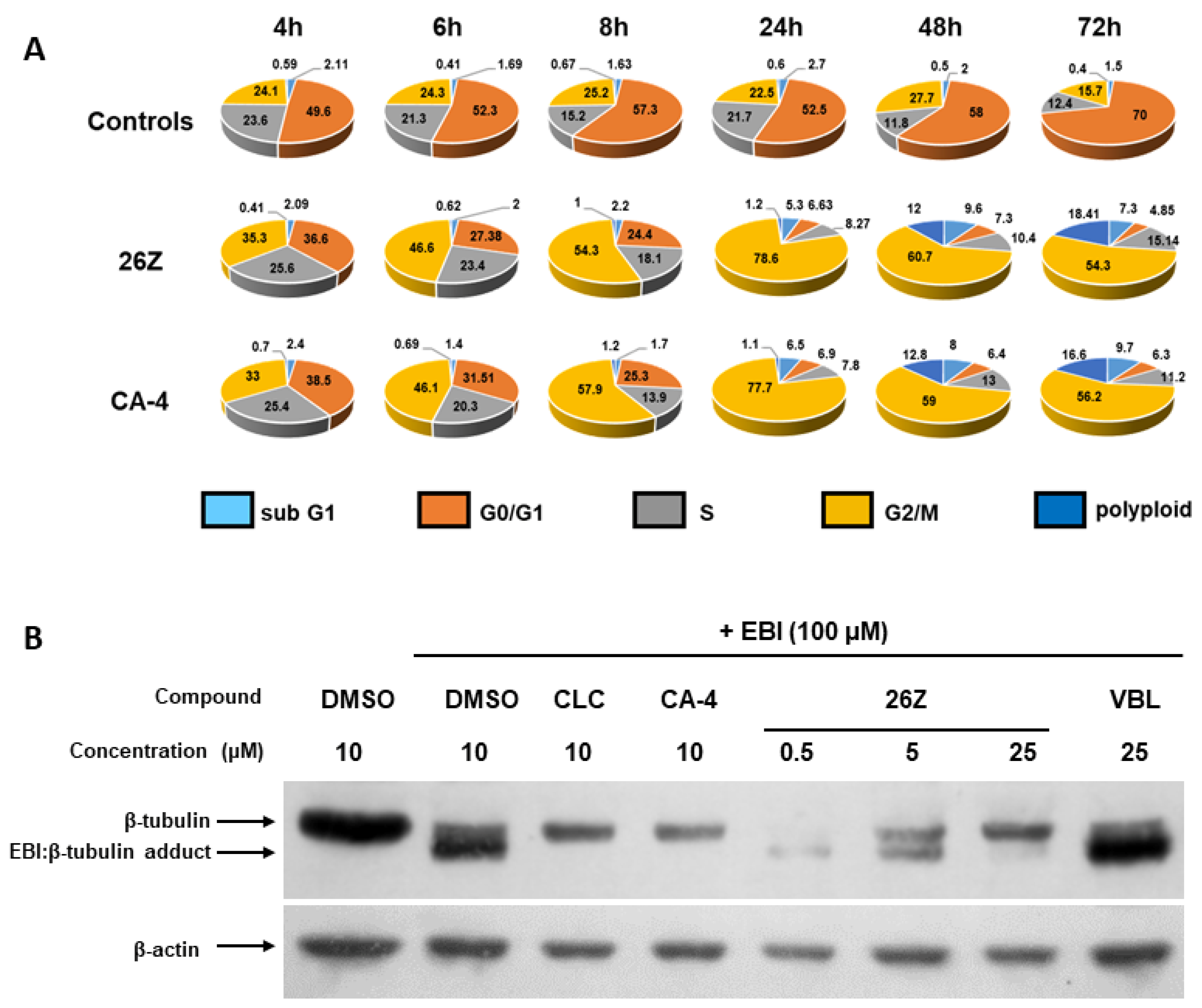 Pharmaceuticals 14 01331 g006