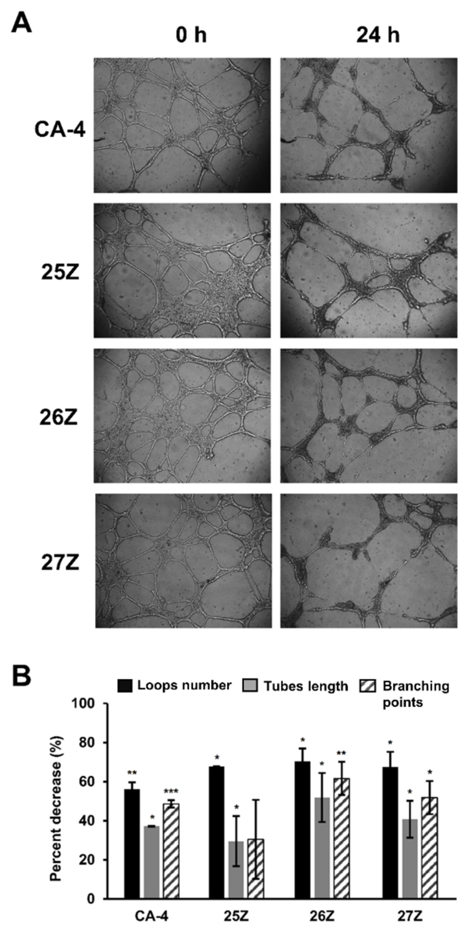 Pharmaceuticals 14 01331 g008
