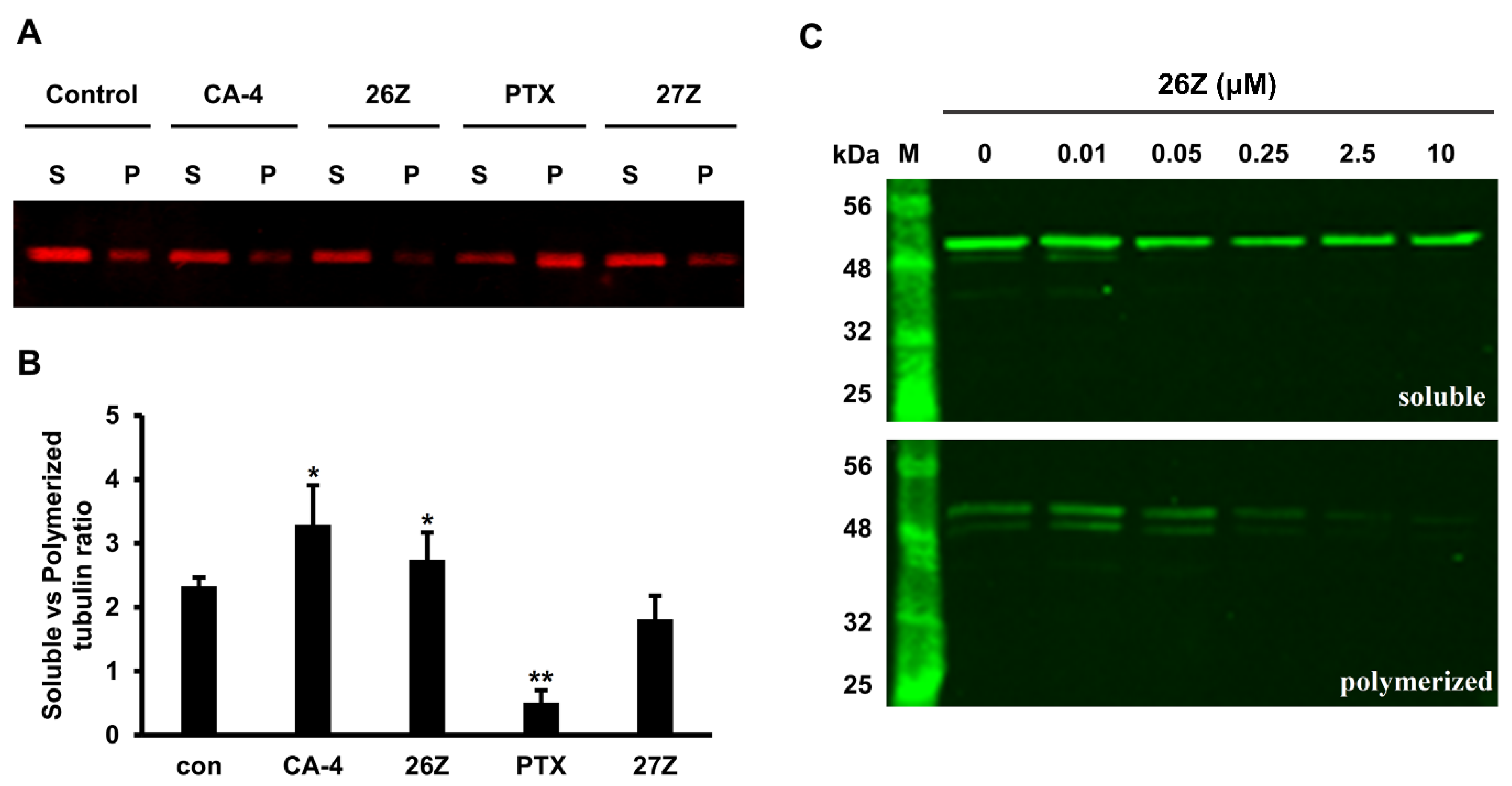 Pharmaceuticals 14 01331 g012
