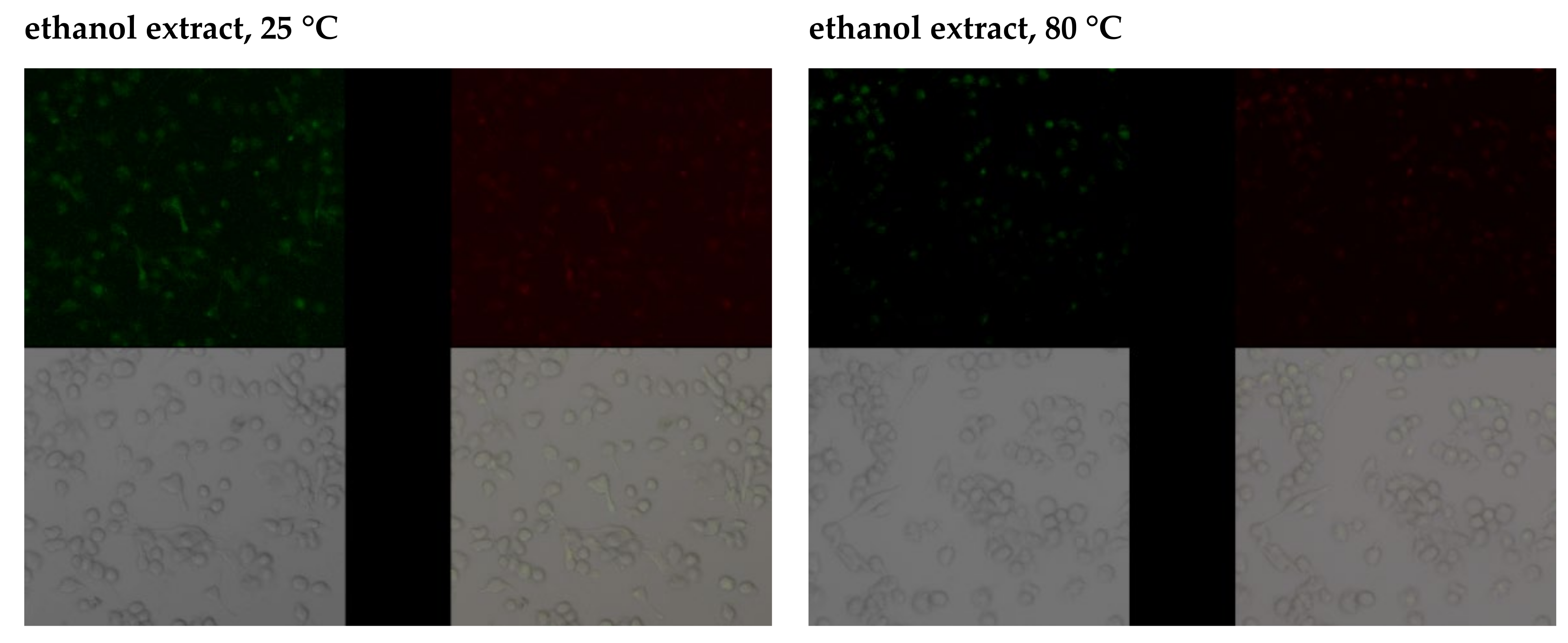 Pharmaceuticals 14 01334 g002c Pharmaceuticals 14 01334 g002c