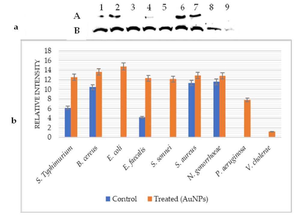 Pharmaceuticals 14 01335 g003 550