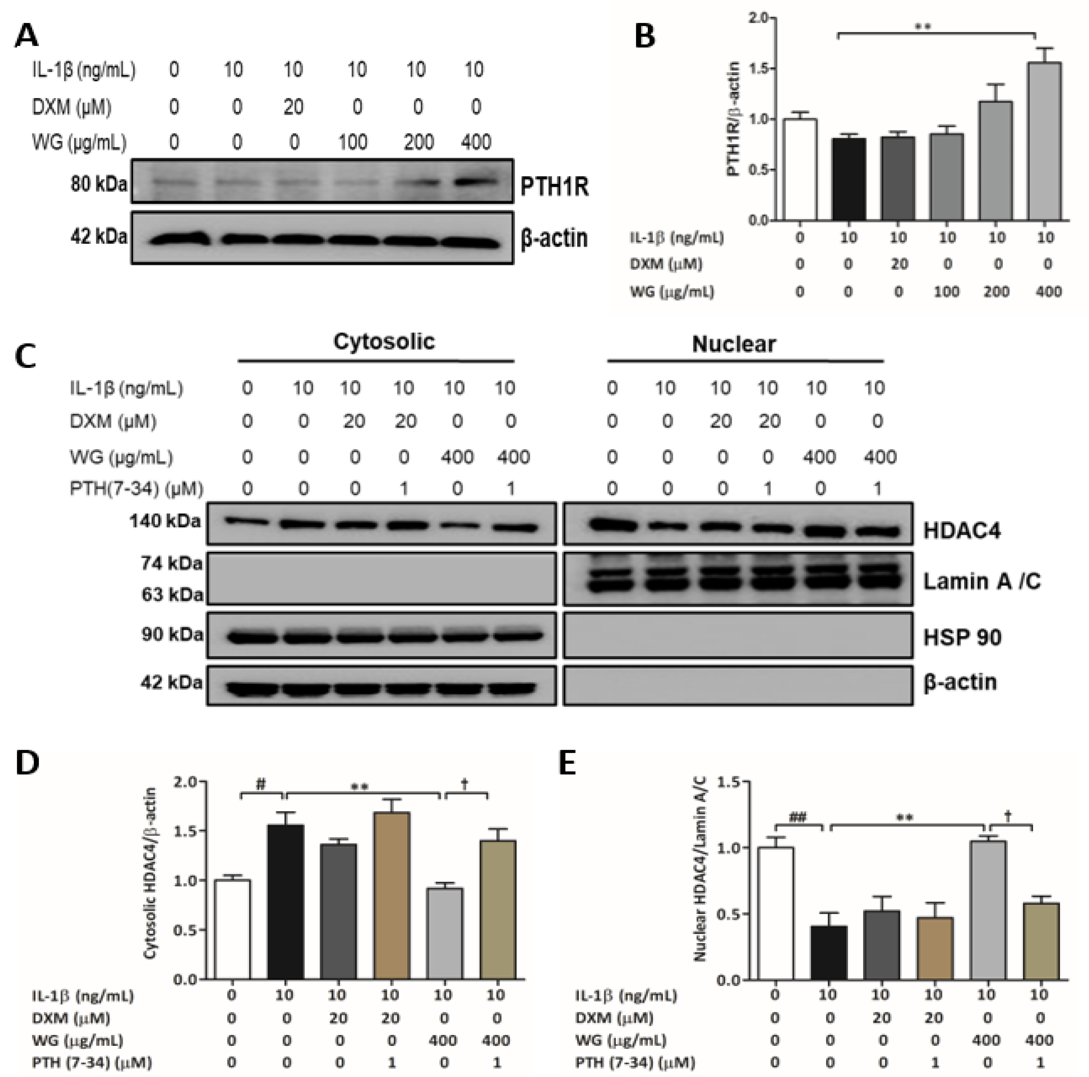 Pharmaceuticals 14 01337 g004 550