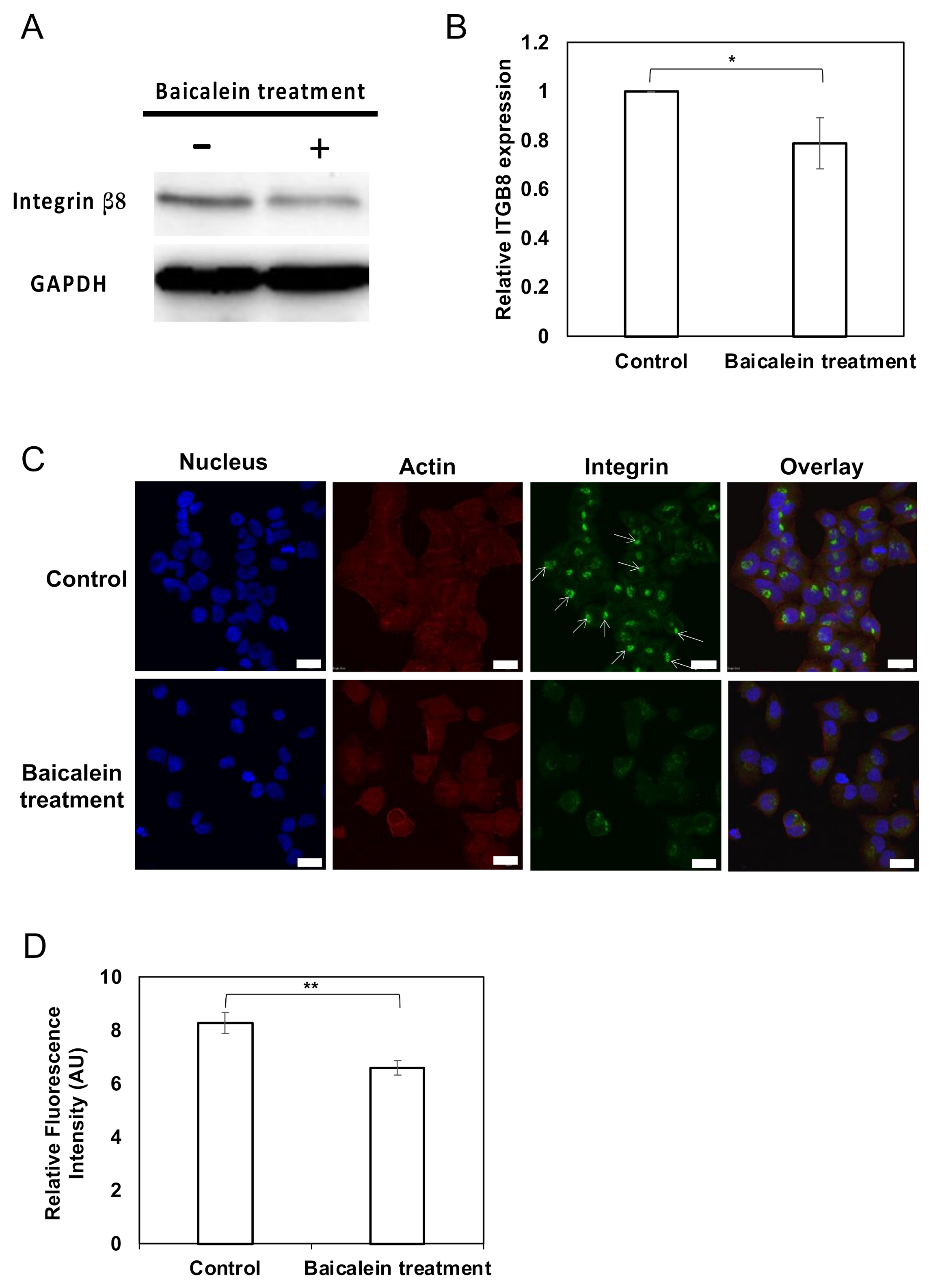 Pharmaceuticals 15 00005 g004 550
