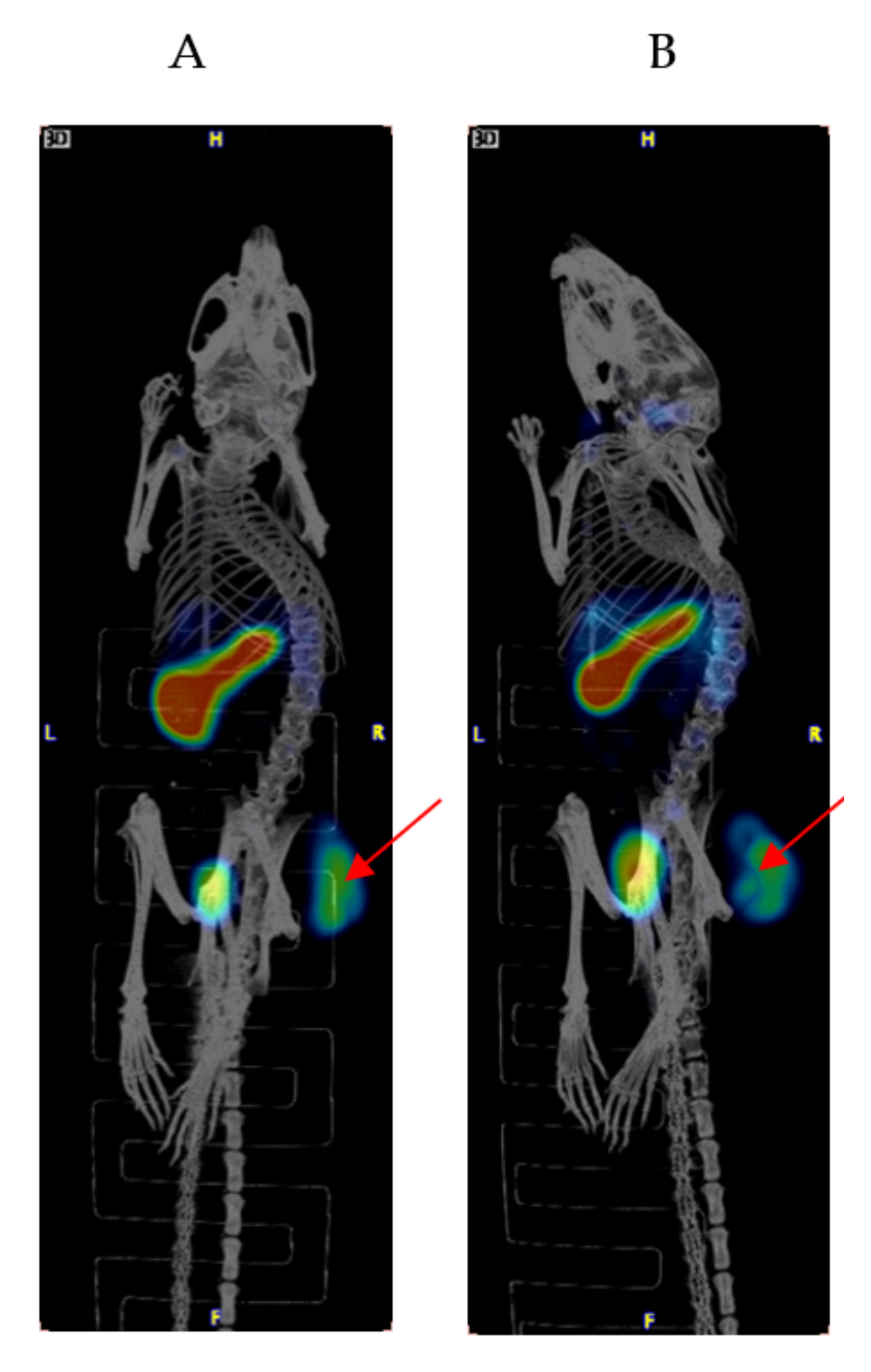 Pharmaceuticals 15 00010 g002