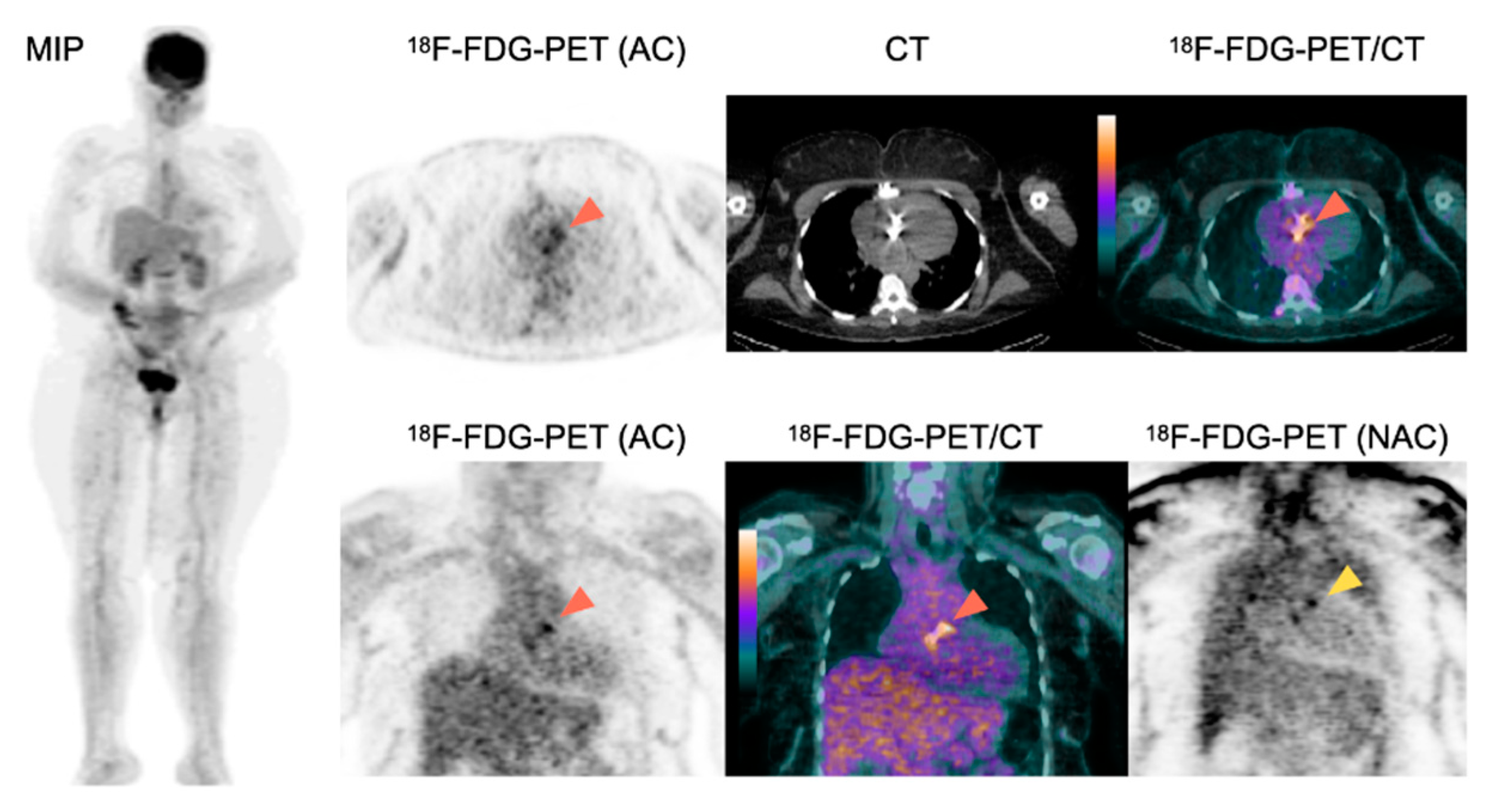 Pharmaceuticals 15 00014 g001 Pharmaceuticals 15 00014 g001