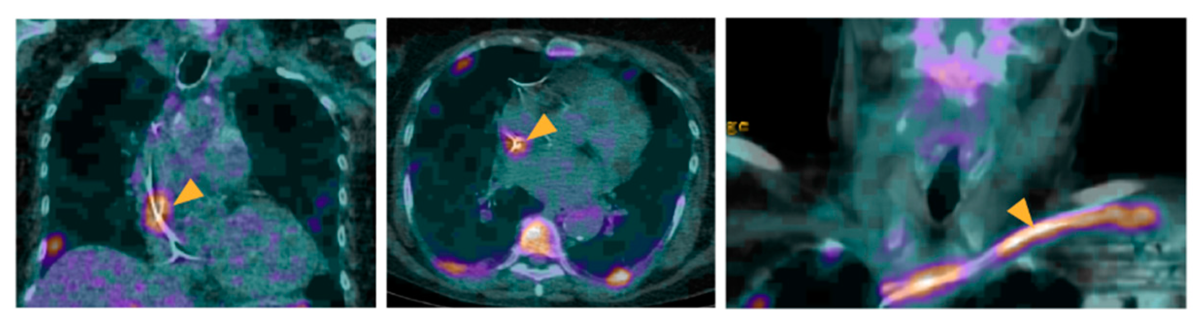 Pharmaceuticals 15 00014 g002 Pharmaceuticals 15 00014 g002