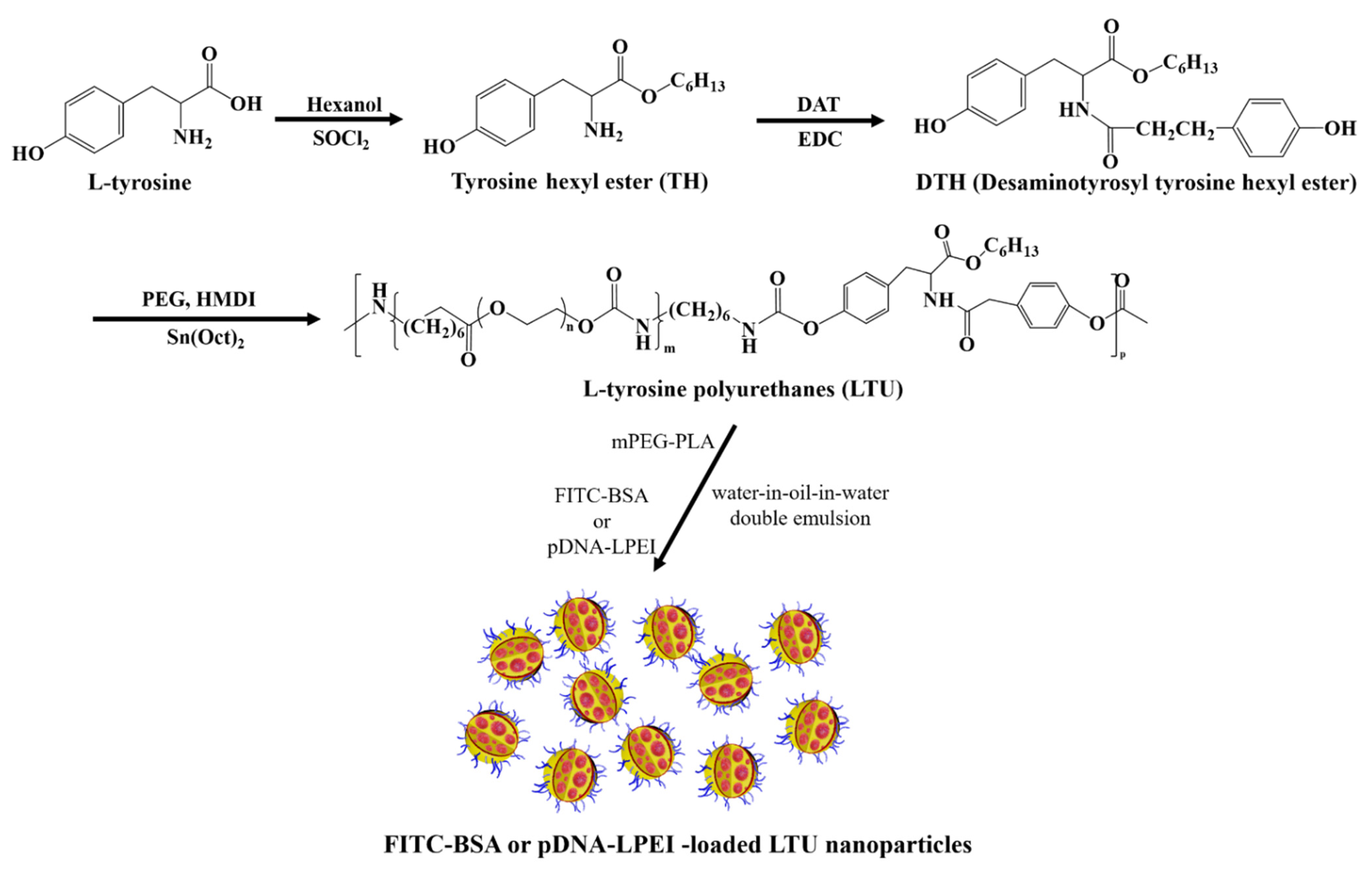 Pharmaceuticals 15 00017 g007 550